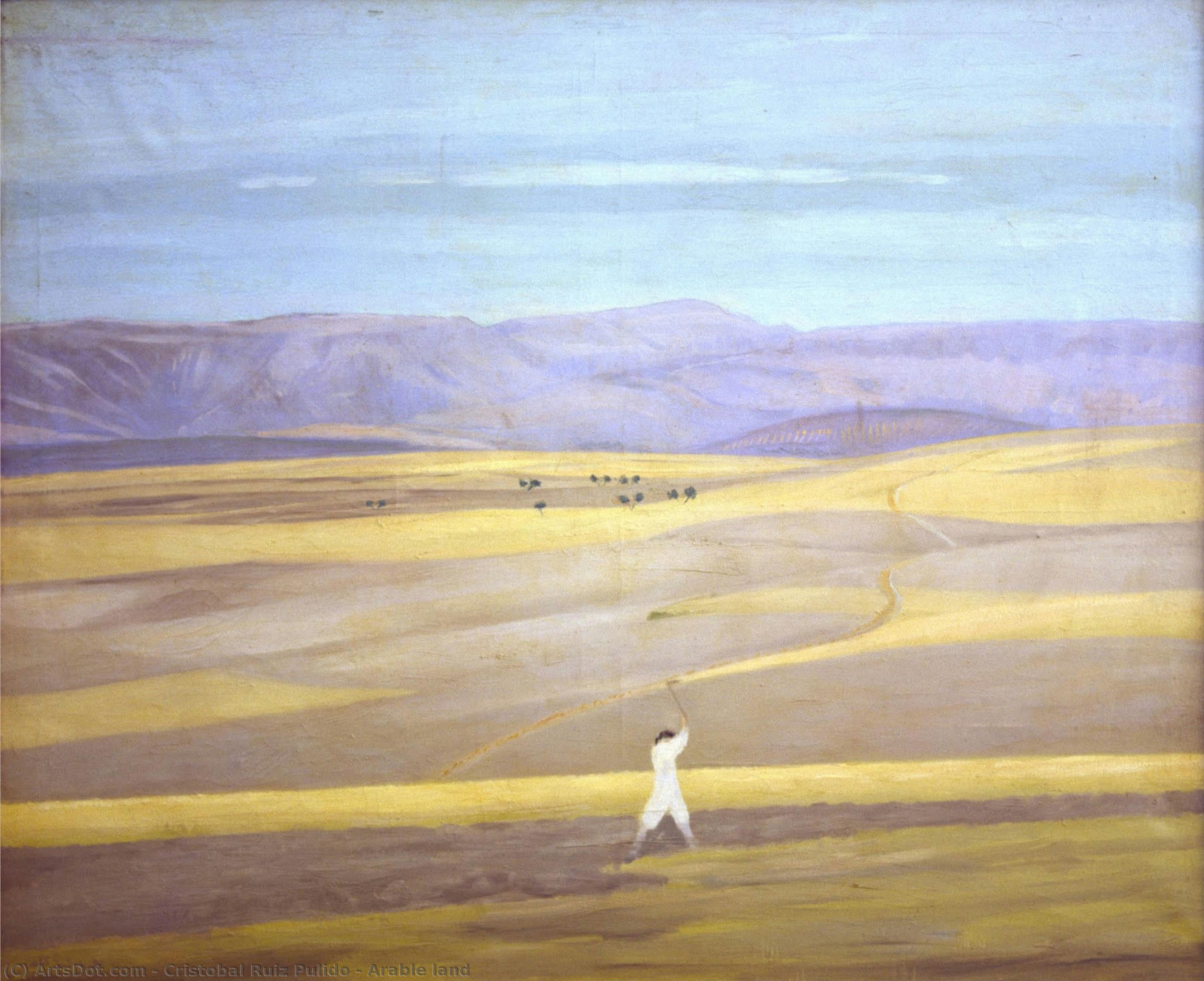 Arable Land — Cristobal Ruiz Pulido