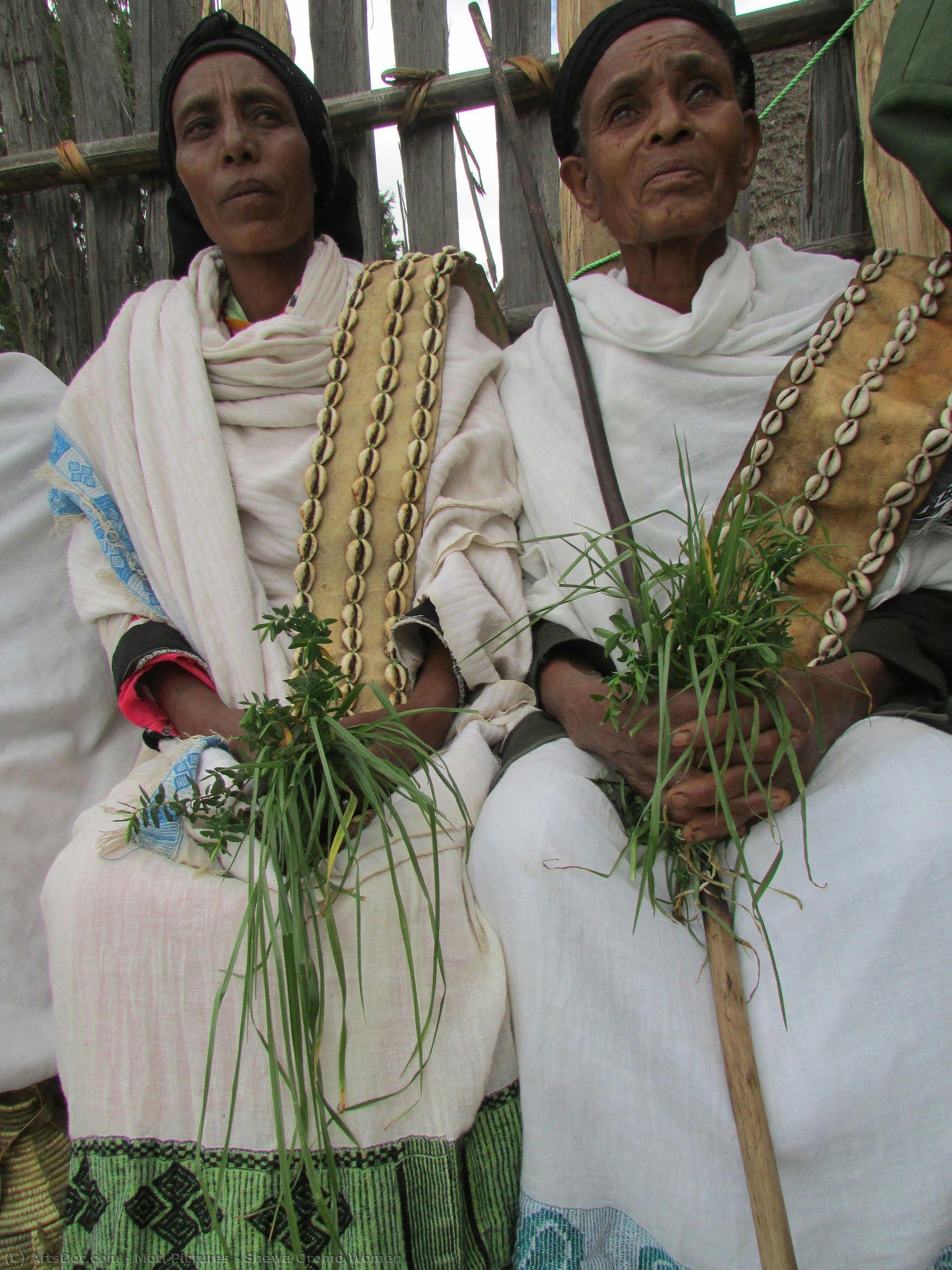 Shewa Oromo Women — Moti Pictures