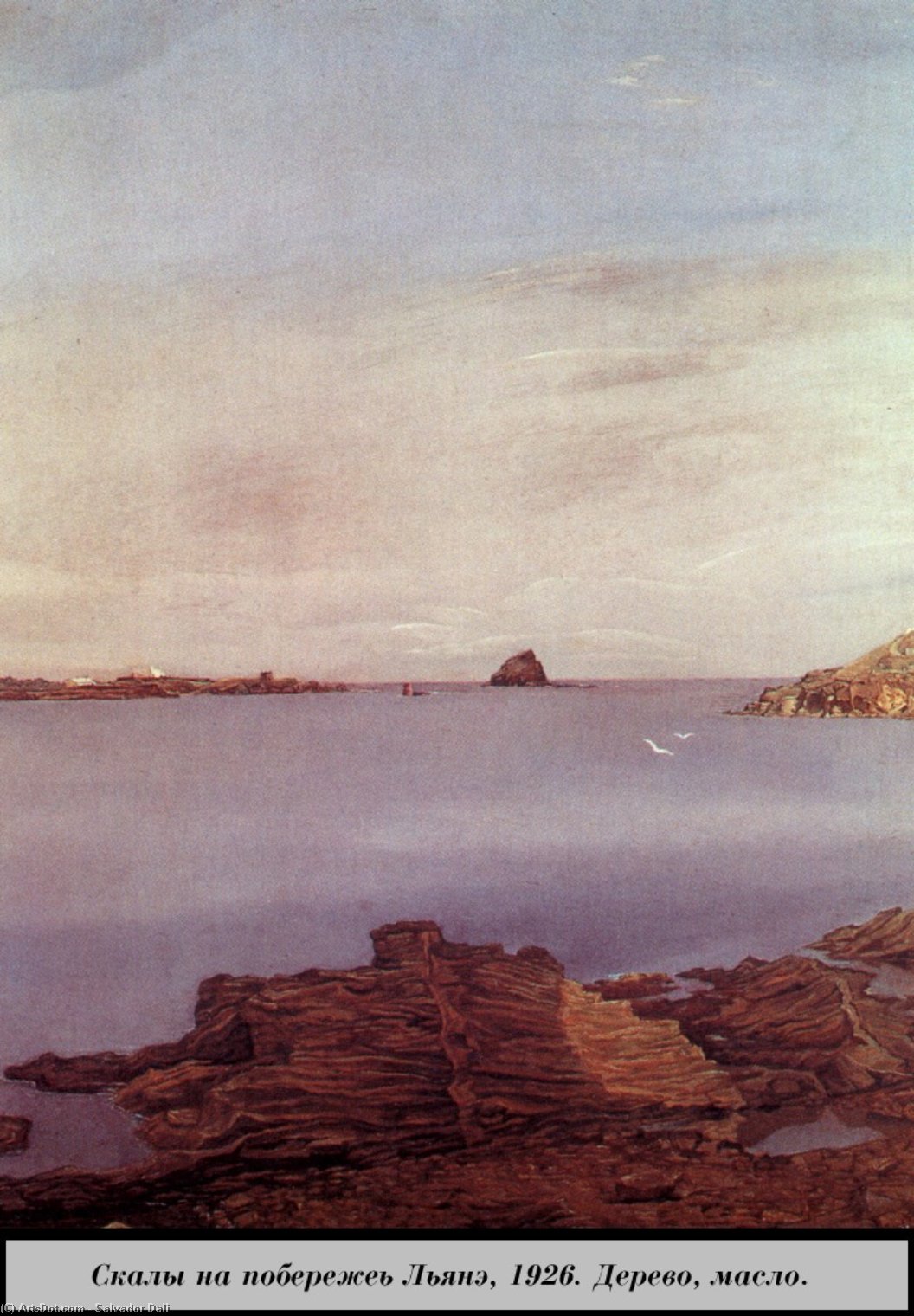 Rocas En La Costa Lyane — Salvador Dalí