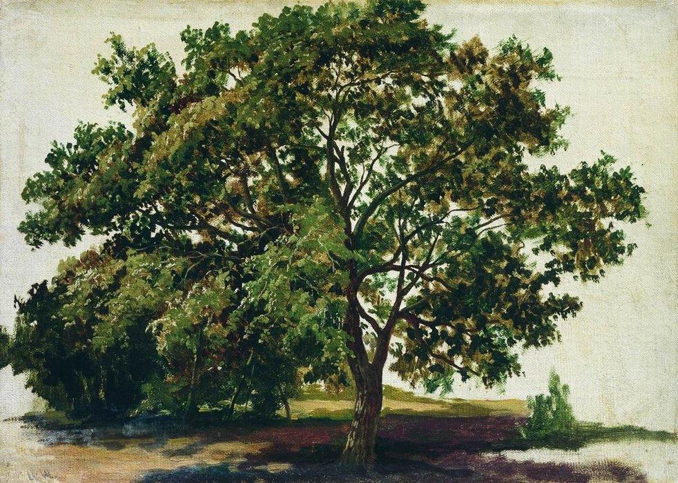Oak — Иван Шишкин