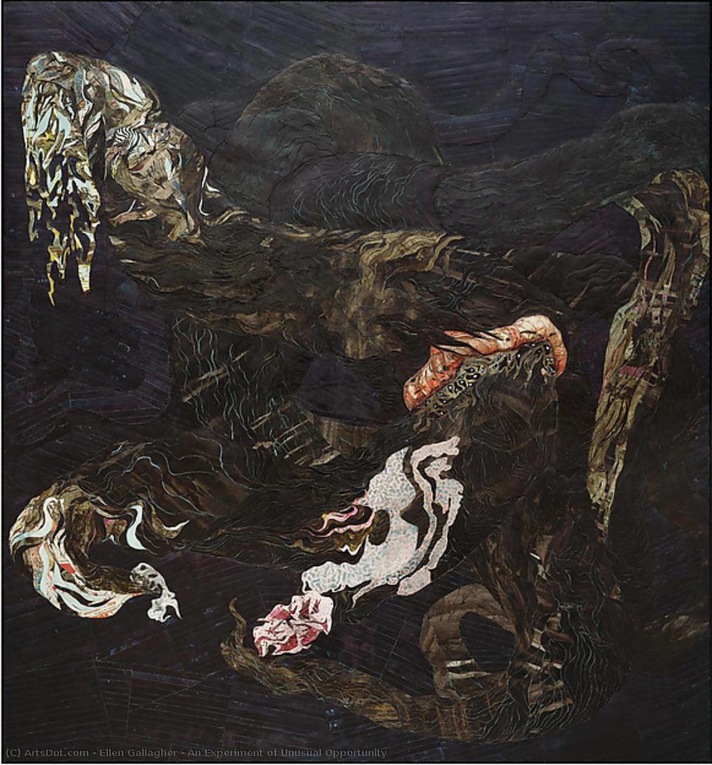 An Experiment Of Unusual Opportunity — Ellen Gallagher