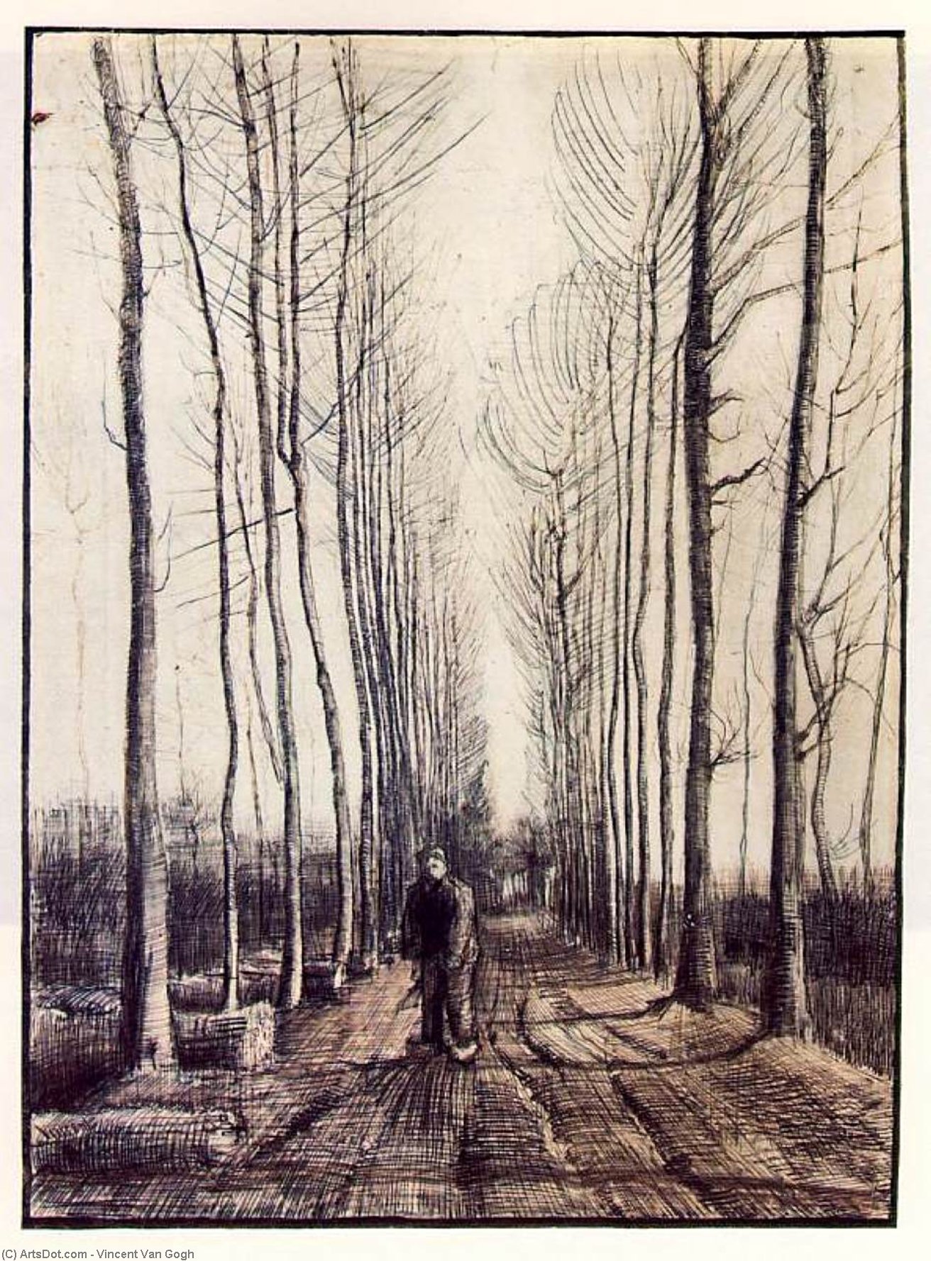 Poplar Trees — Vincent Willem Van Gogh