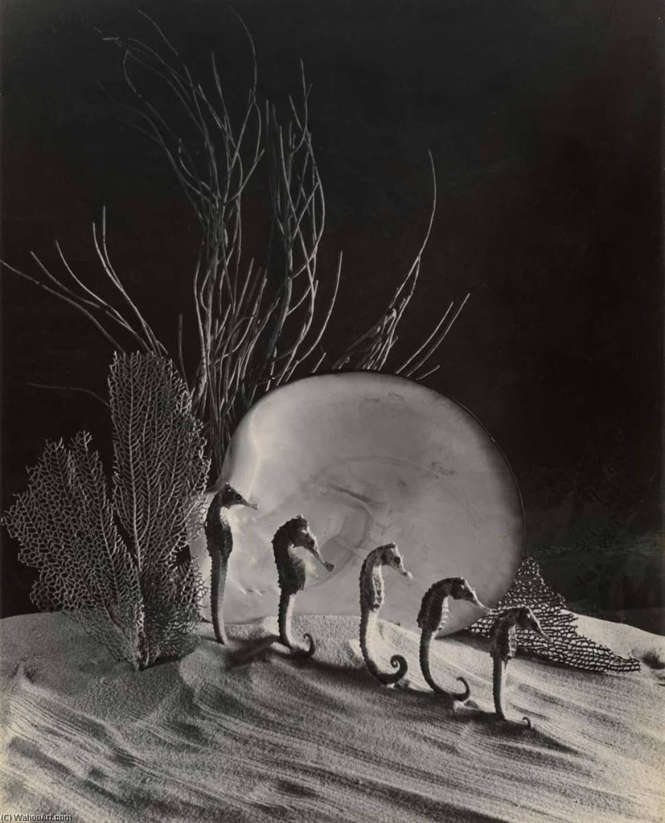 Ocean Ballet — Grace M Ballentine