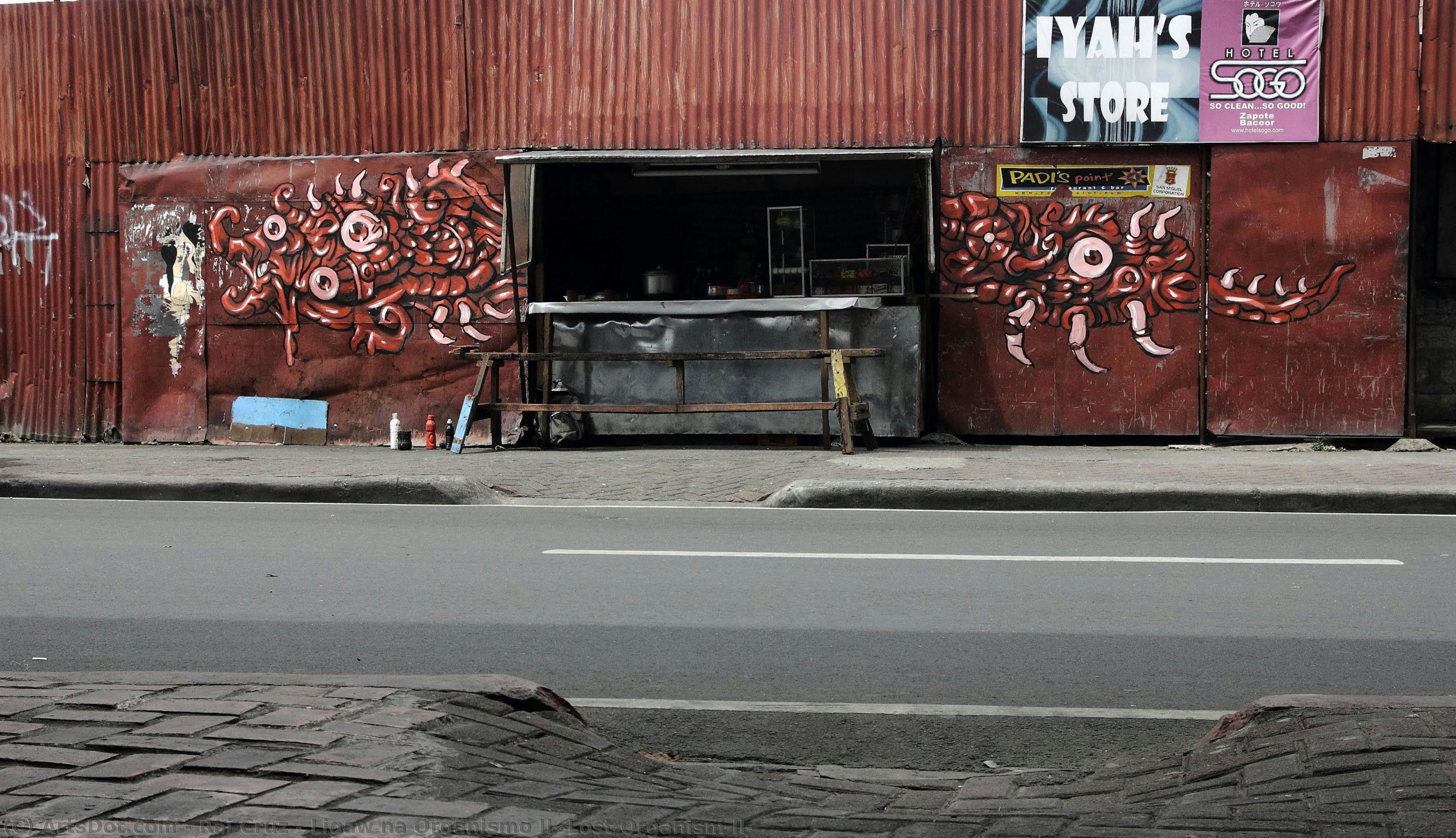 Ligaw Na Organismo Ii (lost Organism Ii) — Rai Cruz