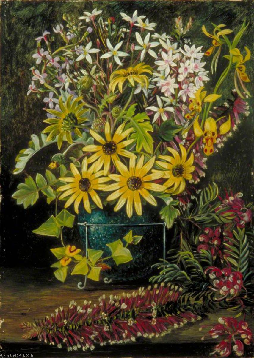 Wildblumen Von Victoria Und New South Wales — Marianne North