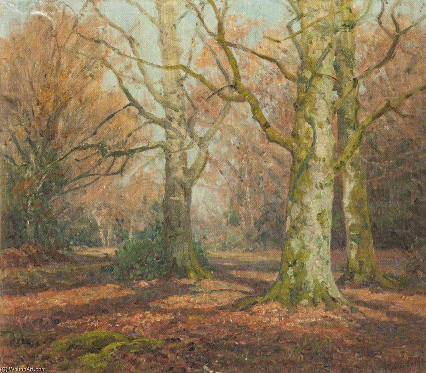 New Forest — Frederick Golden Short