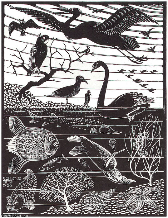 Fifth Day Of The Creation — Maurits Cornelis Escher