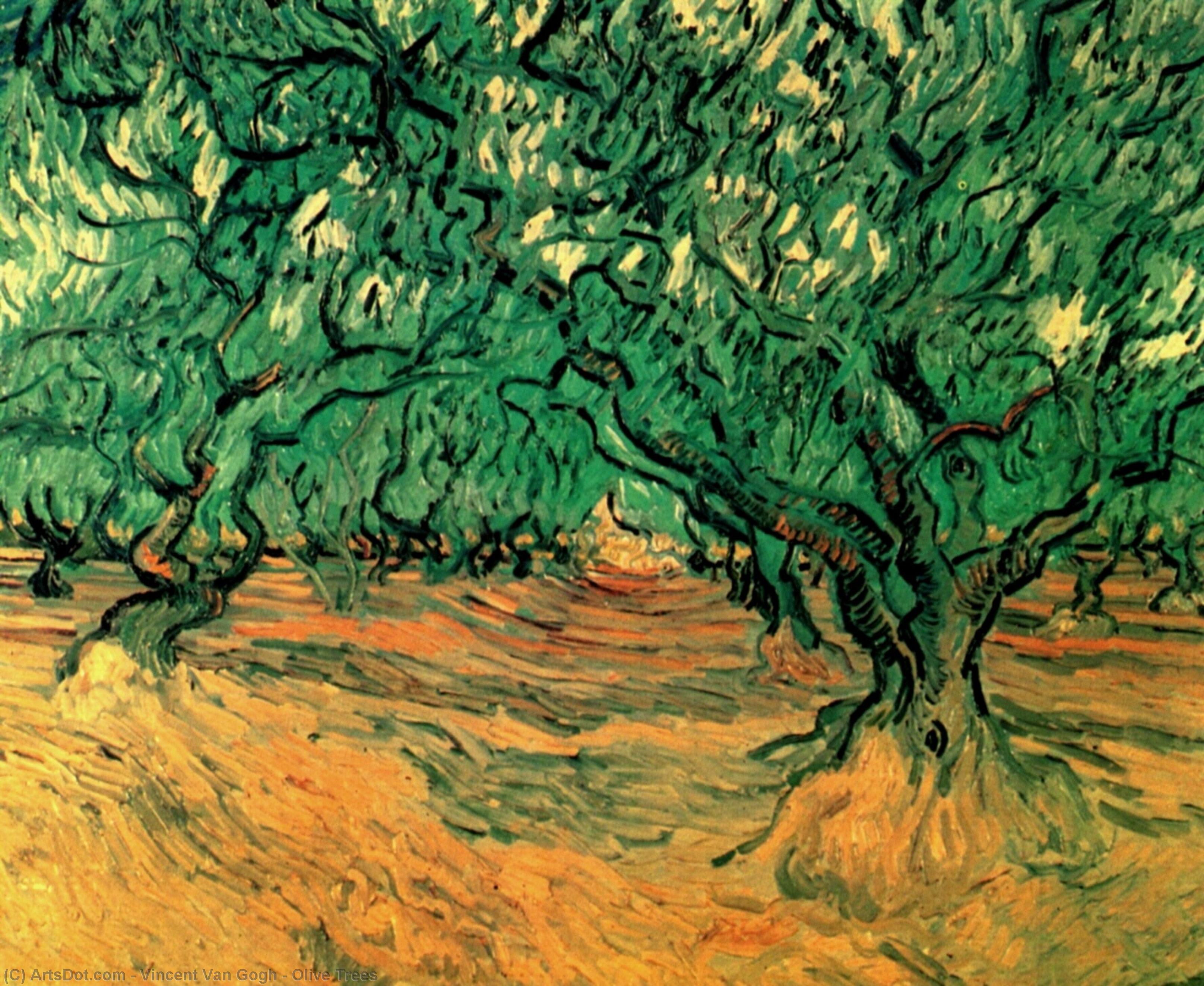 Olive Trees — Vincent Willem Van Gogh