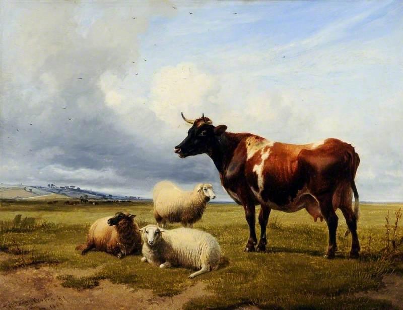 Morning, Canterbury Meadows, Kent — Томас Сидни Купер