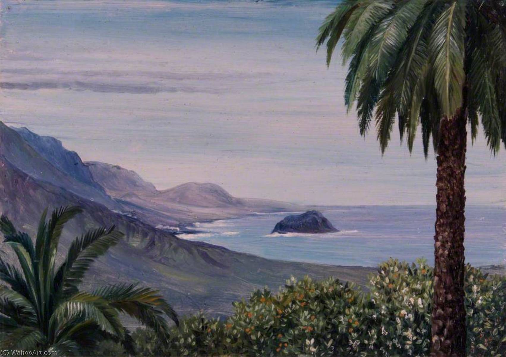 Nahe Echod, Teneriffa — Marianne North