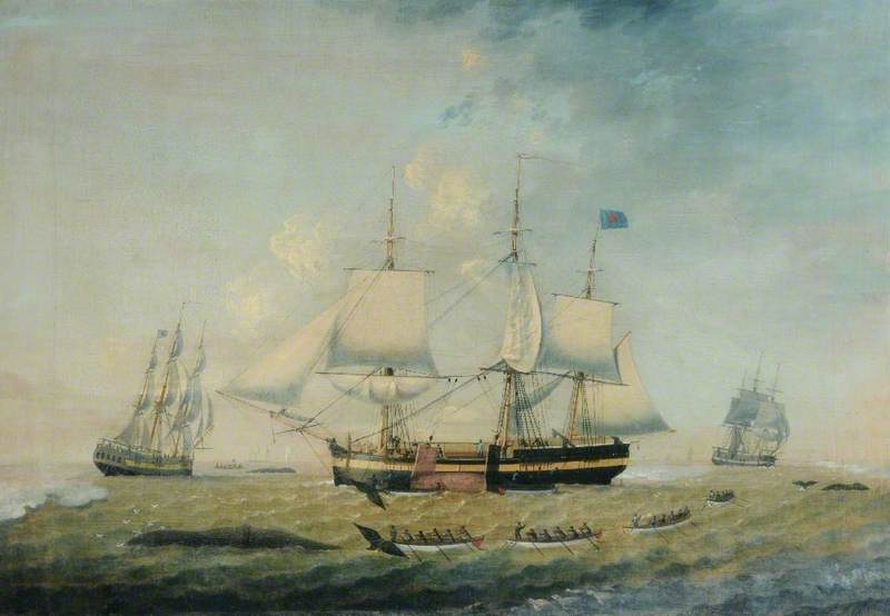 'aurora' — Robert Willoughby
