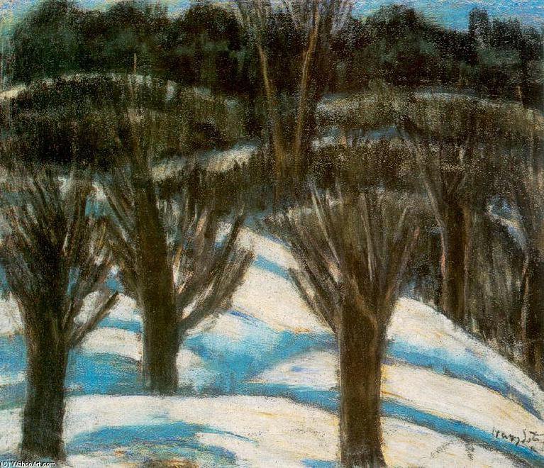 Snowy Landscape — István Nagy
