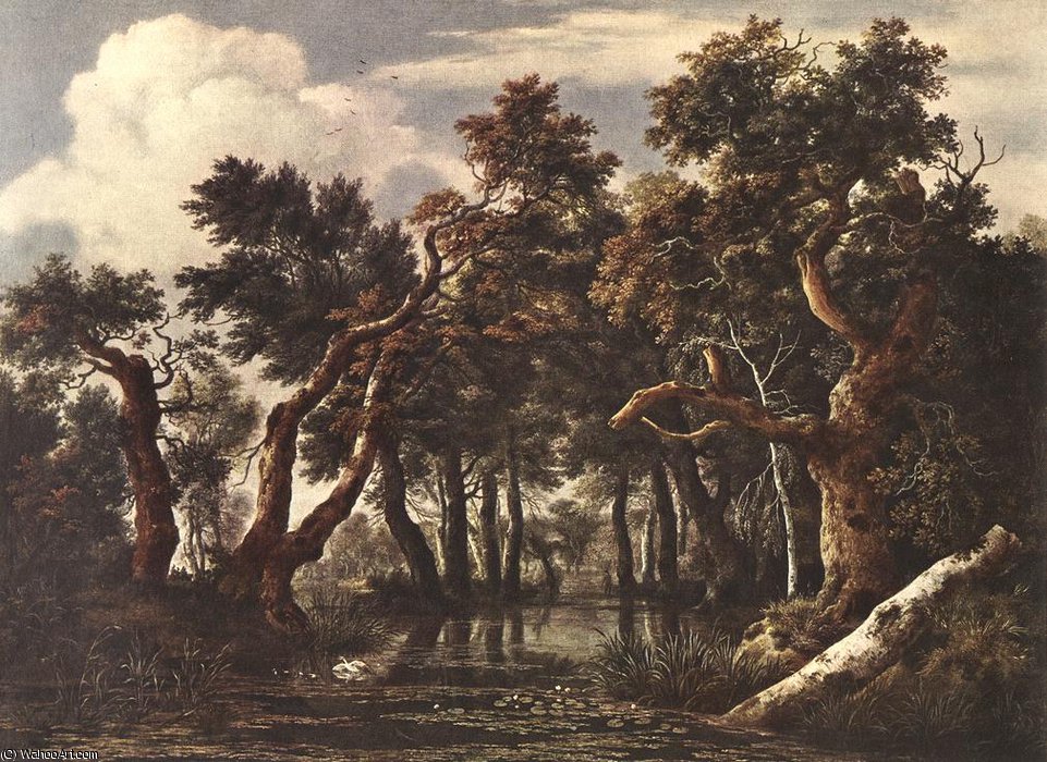 The Marsh In A Forest — Јакоб Исаксзон Ван Рујсдаел