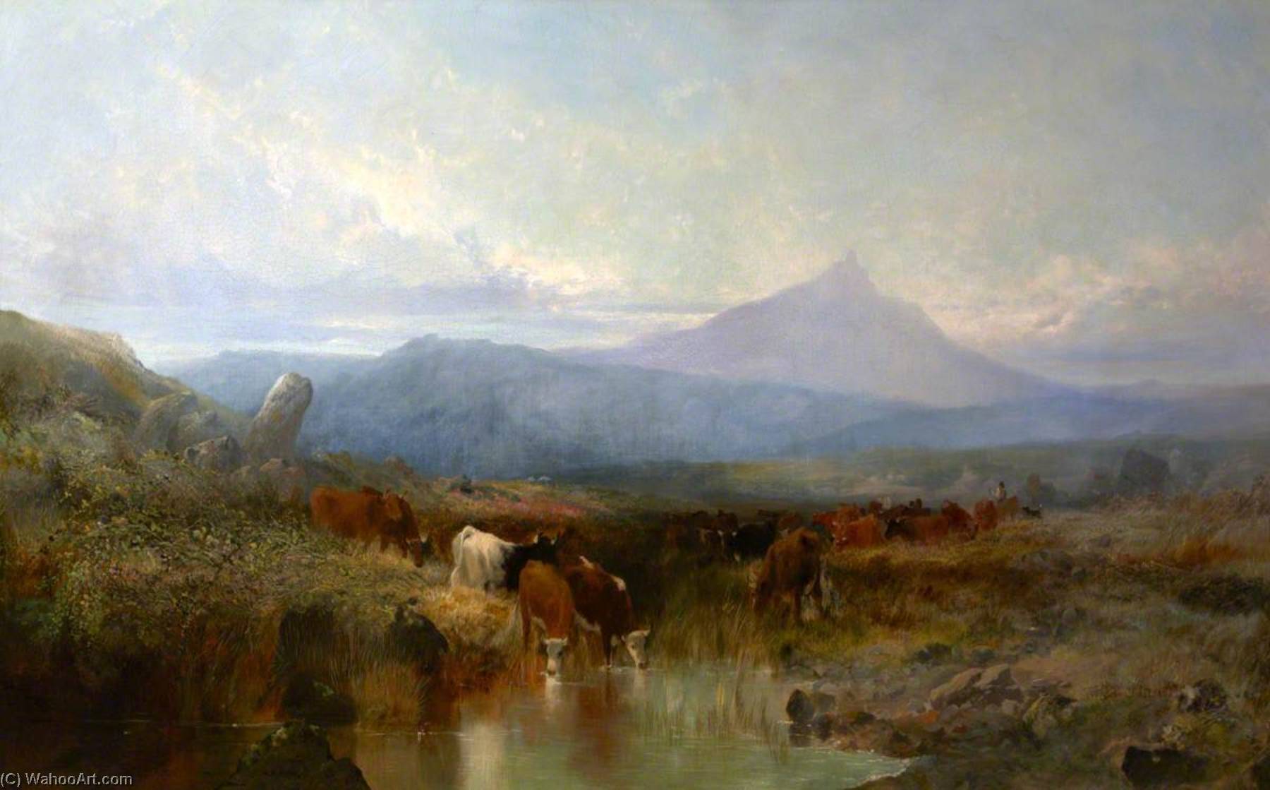 Cattle On Dartmoor — William Widgery