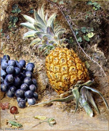 Grapes And A Pineapple — Уильям Генри Хант