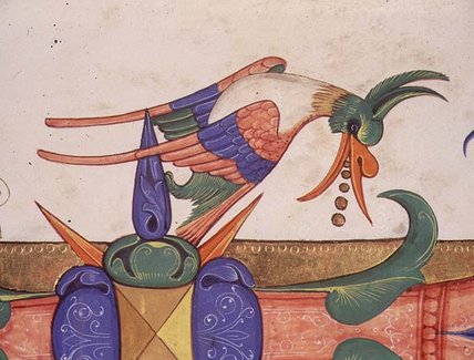 Fantastical Bird — Matteo Di Filippo Torelli