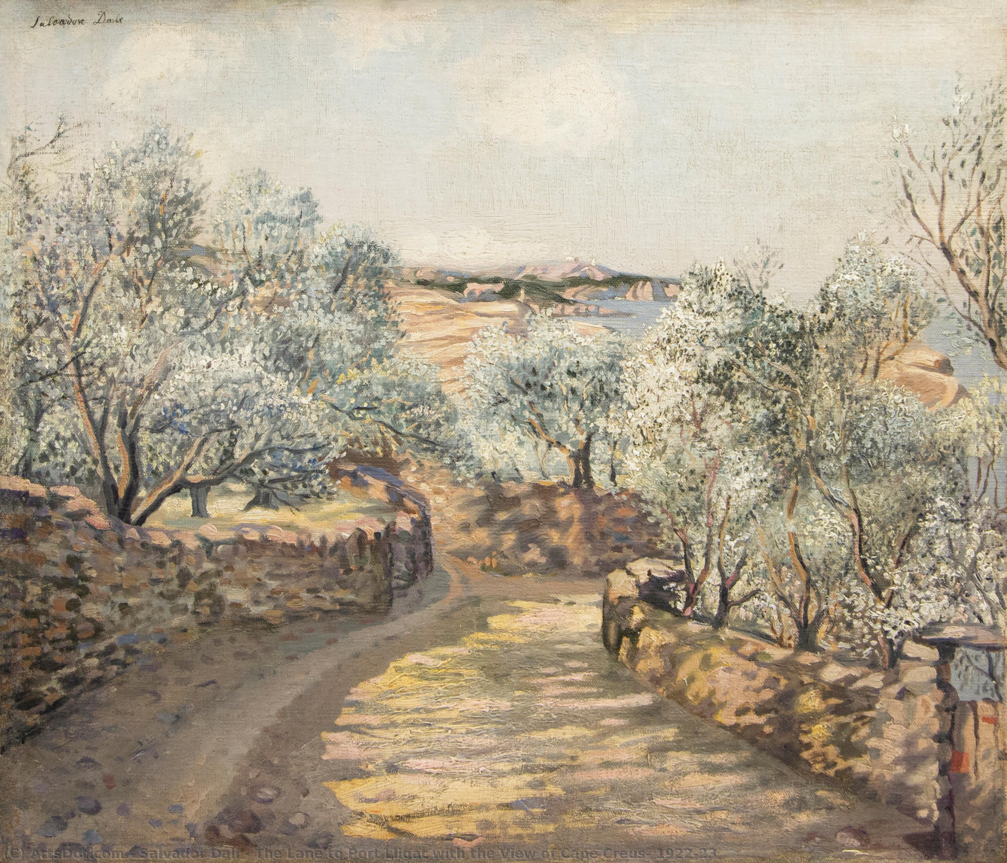 Der Weg Zum Hafen Von Port Lligat Mit Blick Auf Kap Creus, 1922–23 — Salvador Dalí