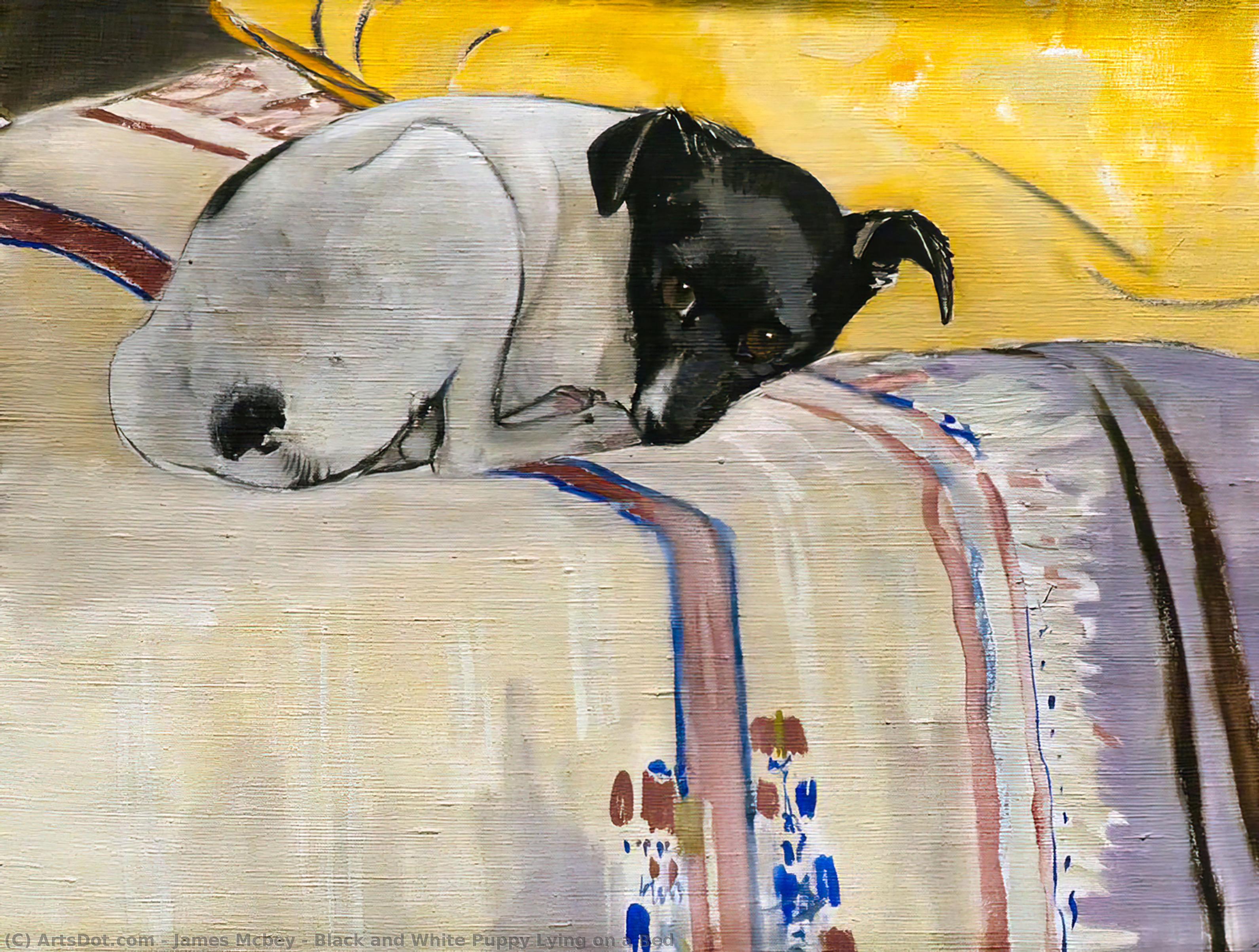 Black And White Puppy Lying On A Bed — James Mcbey