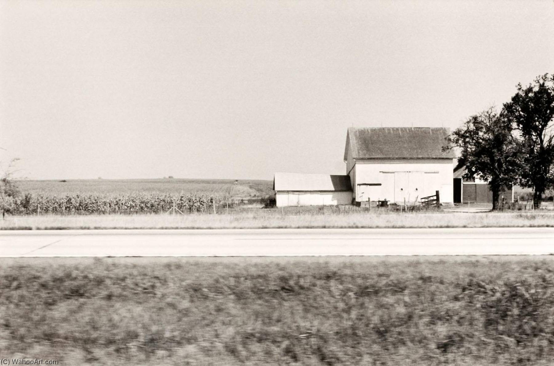 Autolandscape, Illinois Ohio — Elaine Mayes