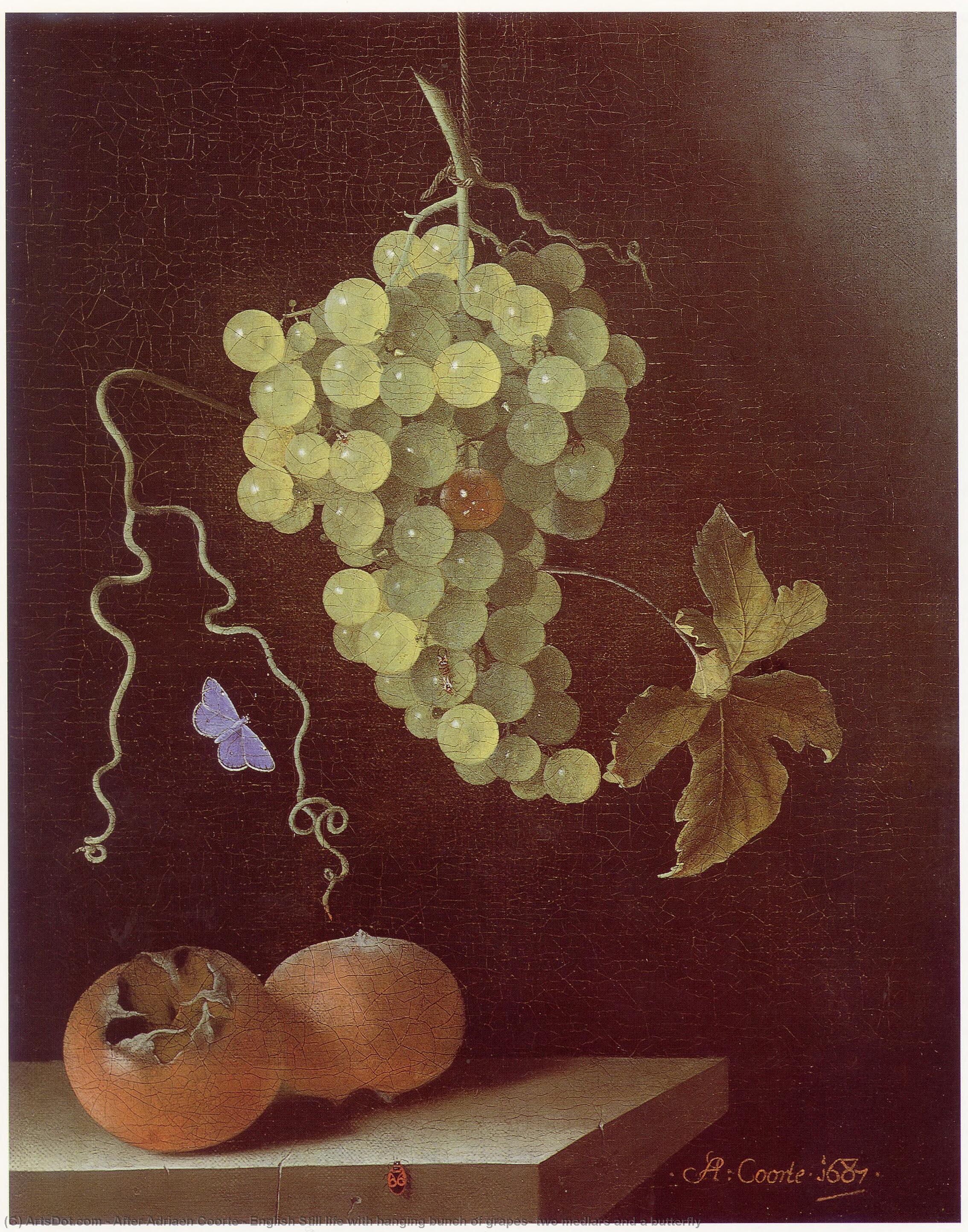 English Still Life With Hanging Bunch Of Grapes, Two Medlars And A Butterfly — After Adriaen Coorte