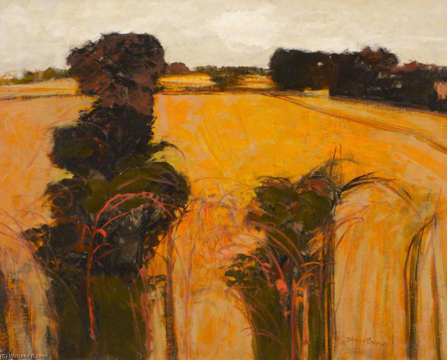 Chestwood Meadows — John Scorror O'connor