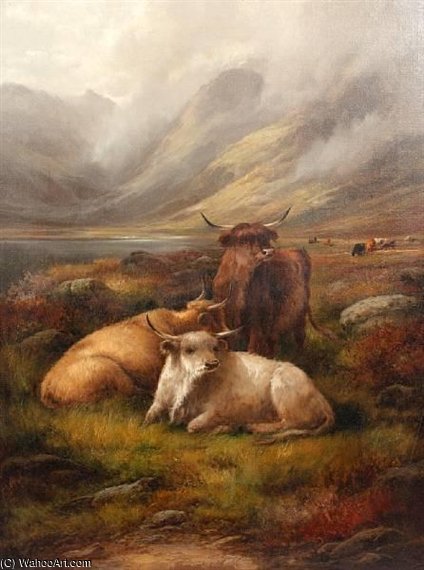 Highland Cattle, And Another Similar — John Morris