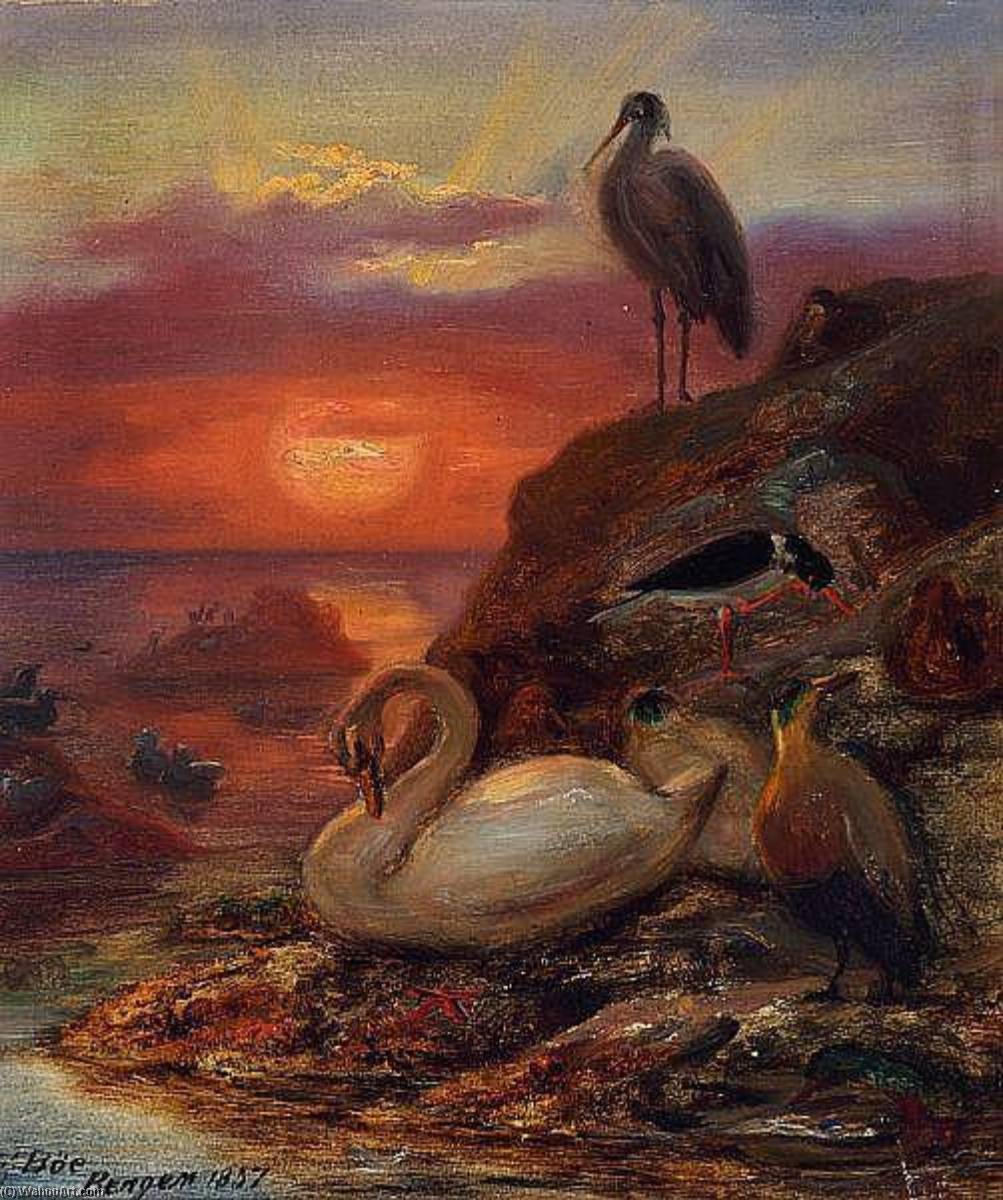 Birds In The Midnight Sun — Frants Bøe