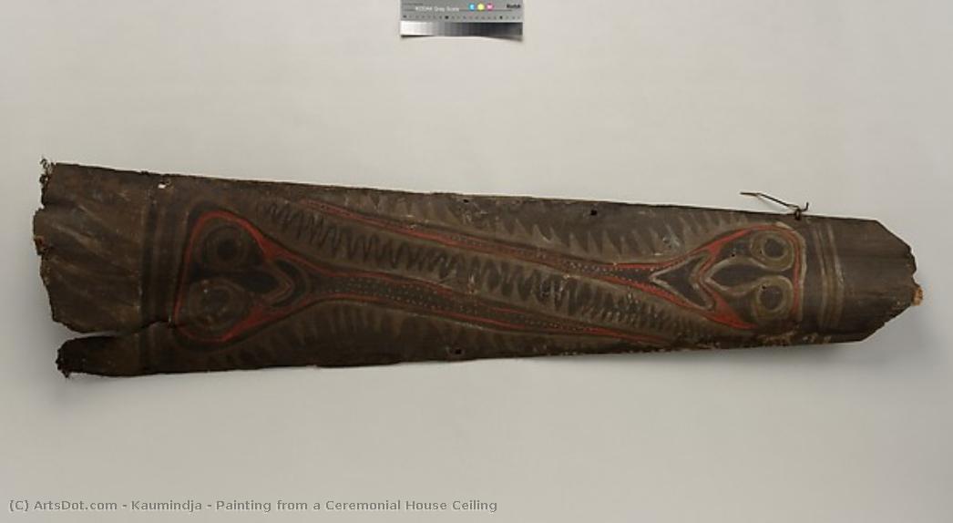 Painting From A Ceremonial House Ceiling — Kaumindja
