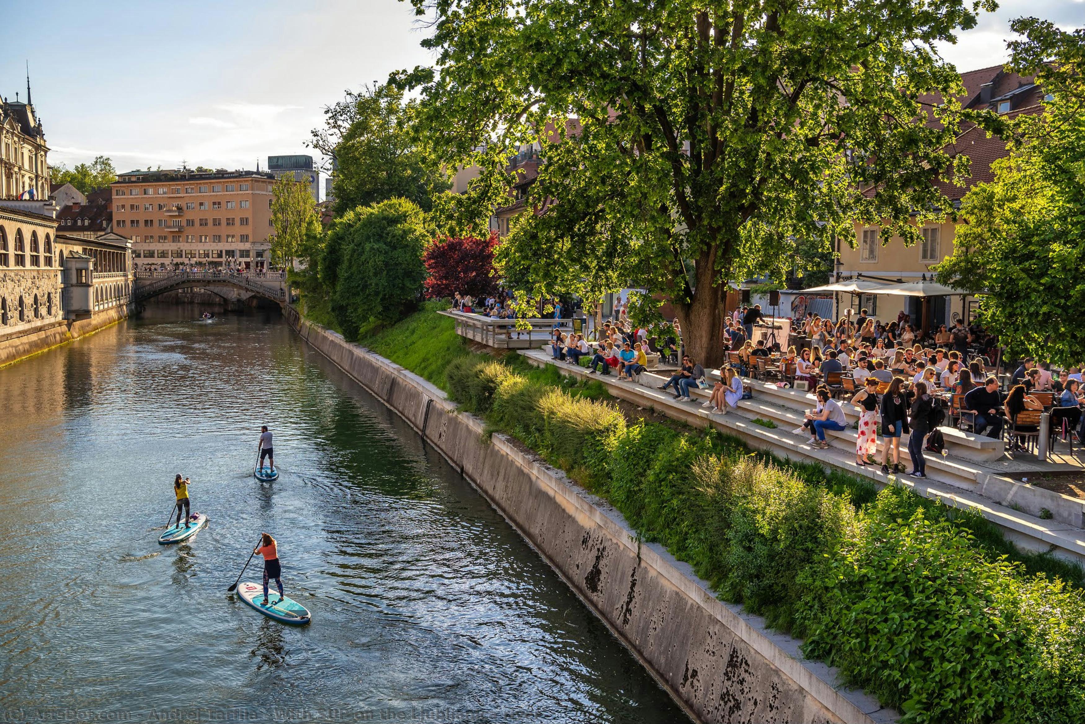 With Sup On The Ljubljanica River — Andrej Tarfila