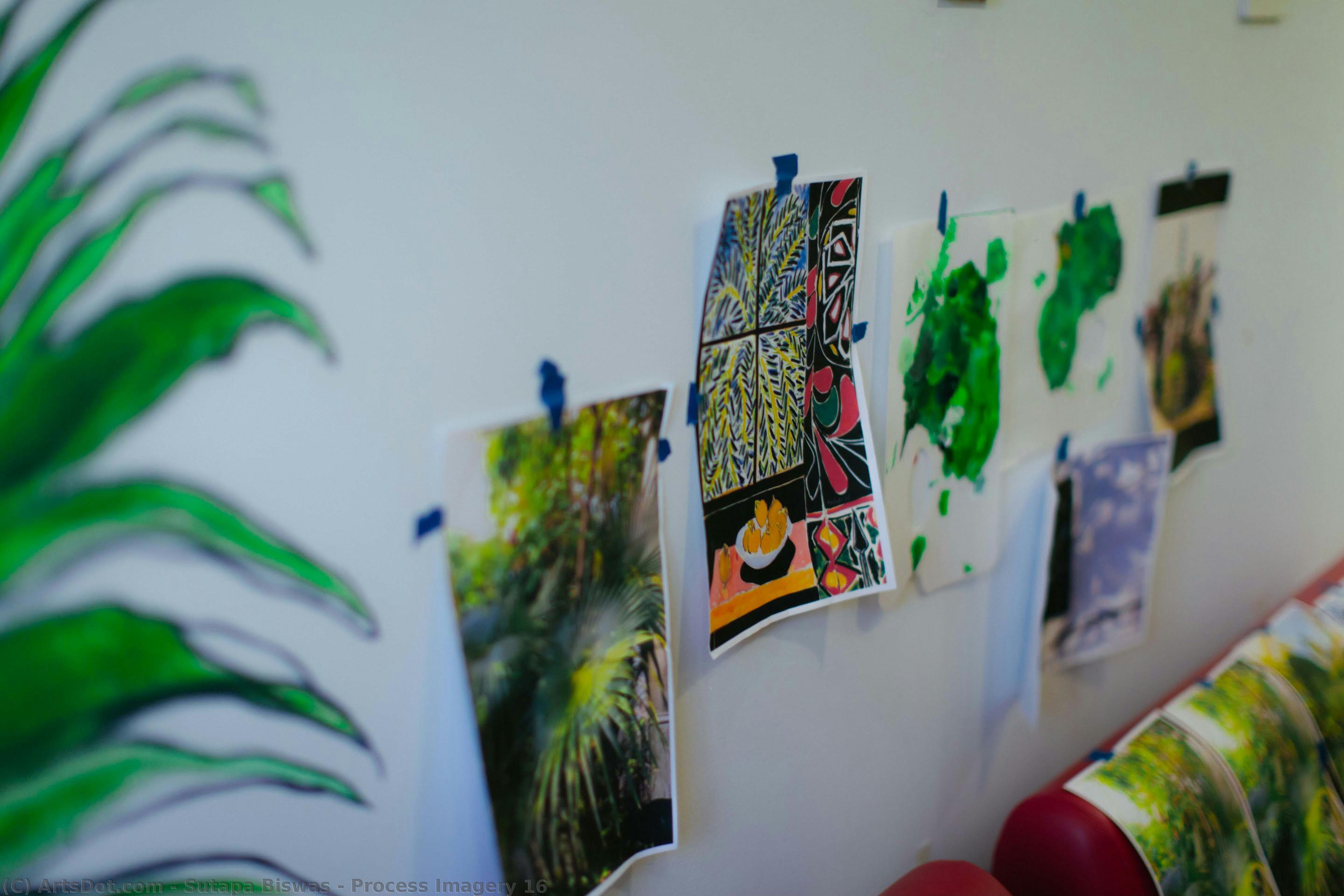 Process Imagery 16 — Sutapa Biswas