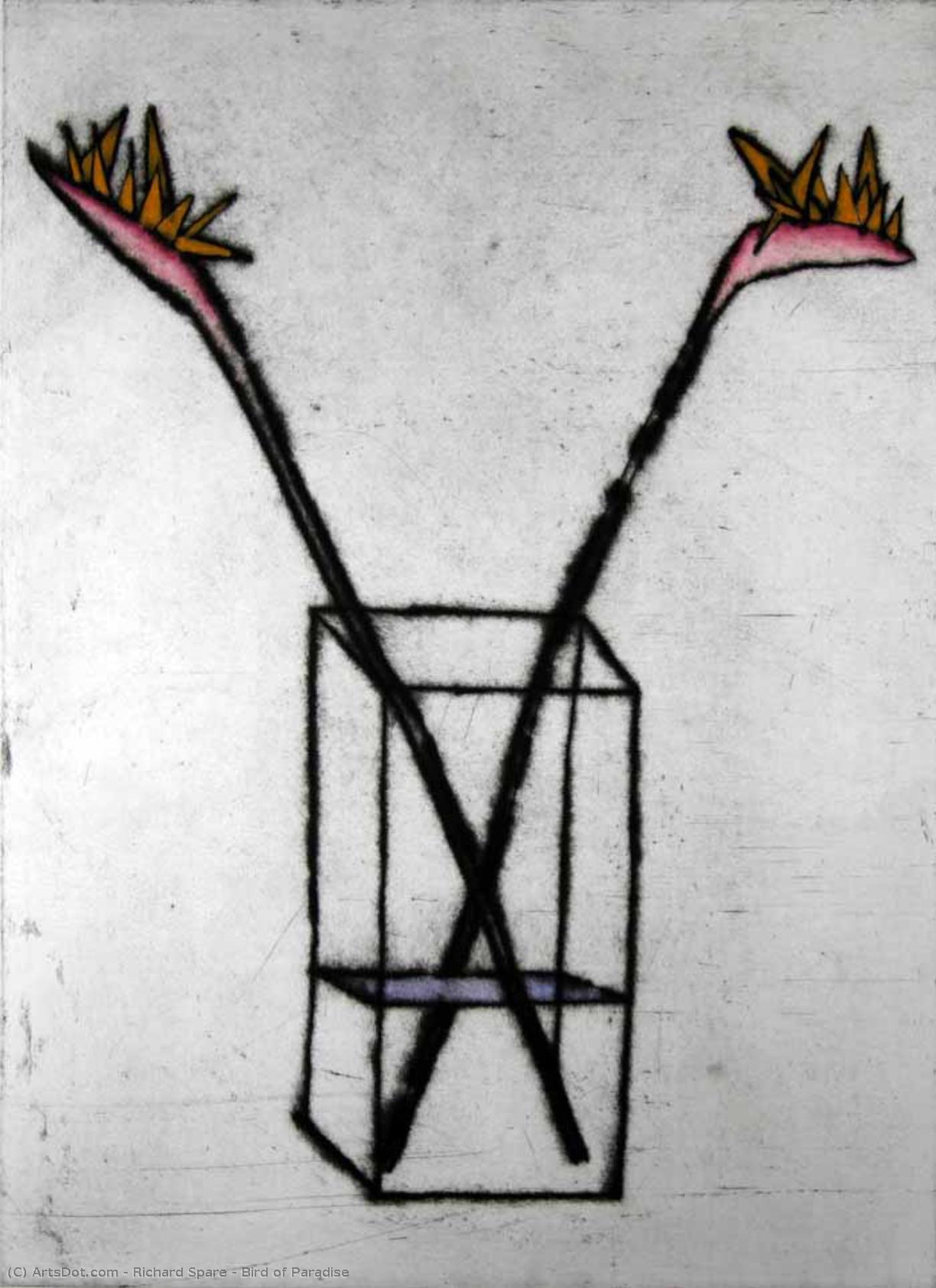 Bird Of Paradise — Richard John Spare