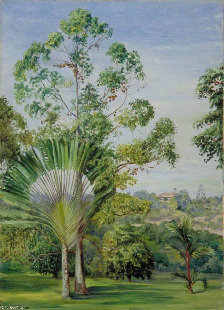 Blick Auf Das Haus Des Maharadscha Von Johore Aus Major Mcnairs Garten, Singapur — Marianne North