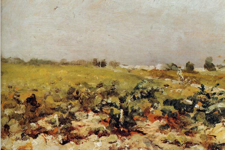 C Leyran View Of The Vignards — Henri De Toulouse-lautrec