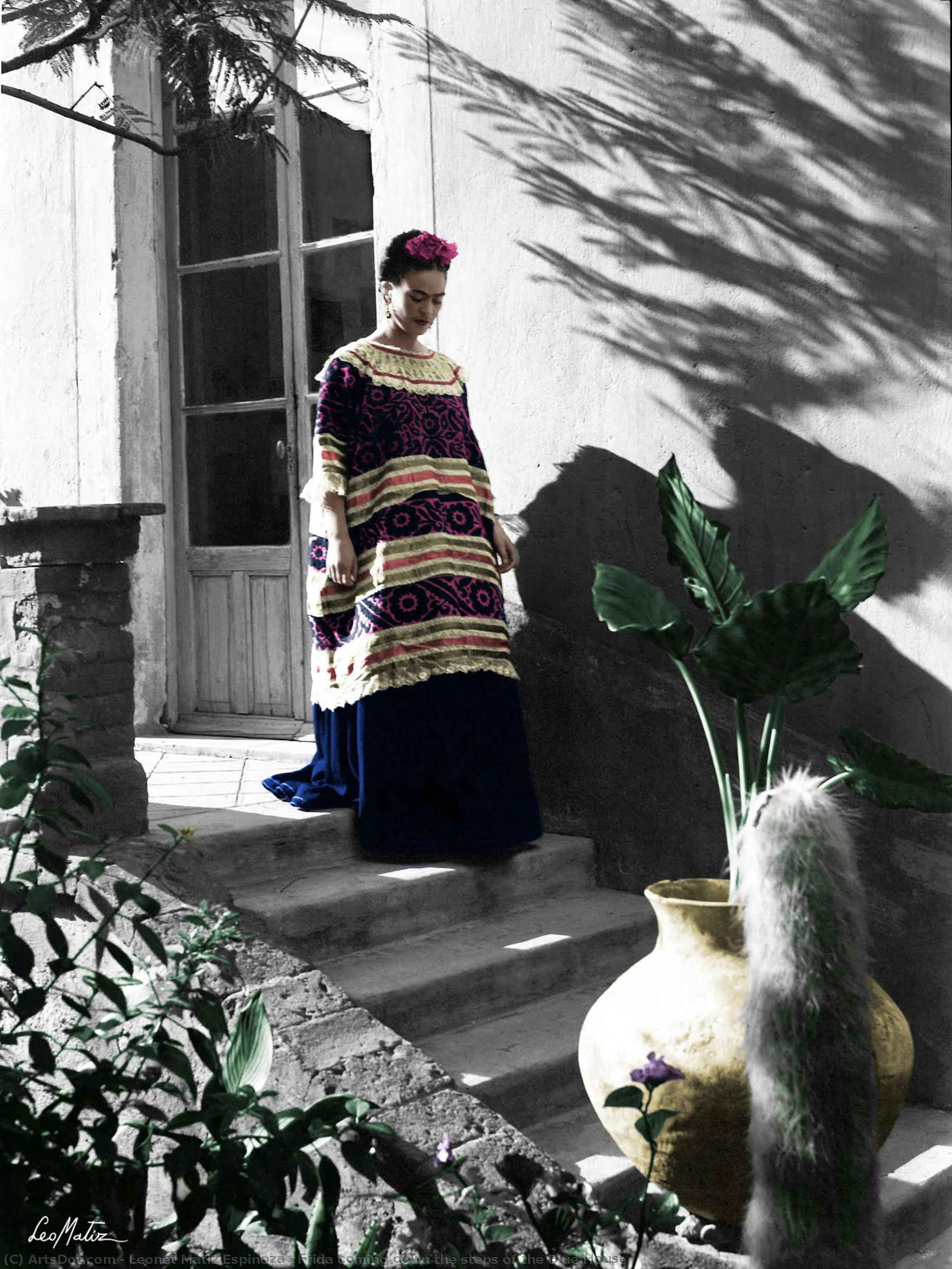 Frida Coming Down The Steps Of The Blue House — Лео Матис
