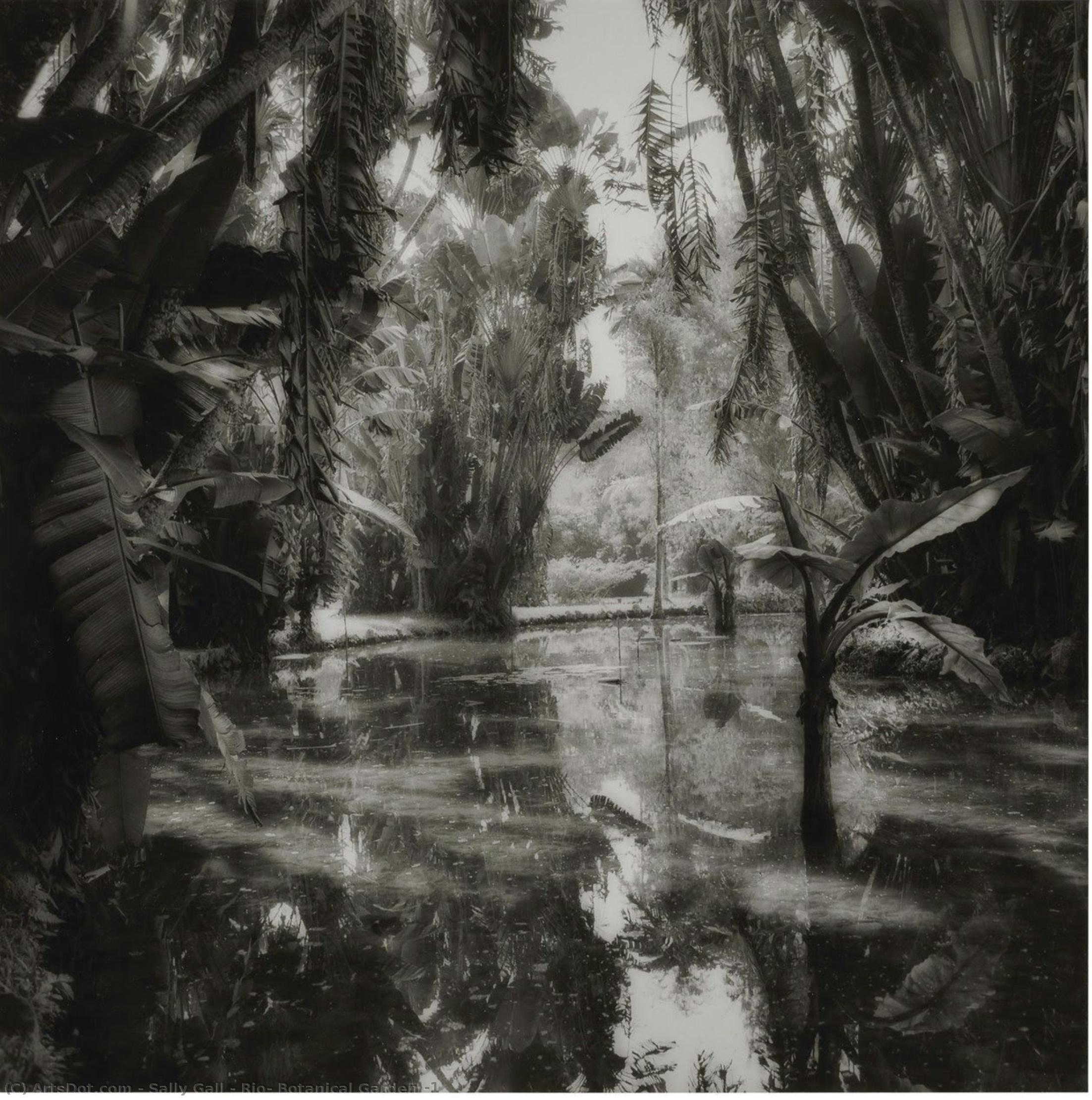 Rio, Botanical Garden #1 — Sally Gall
