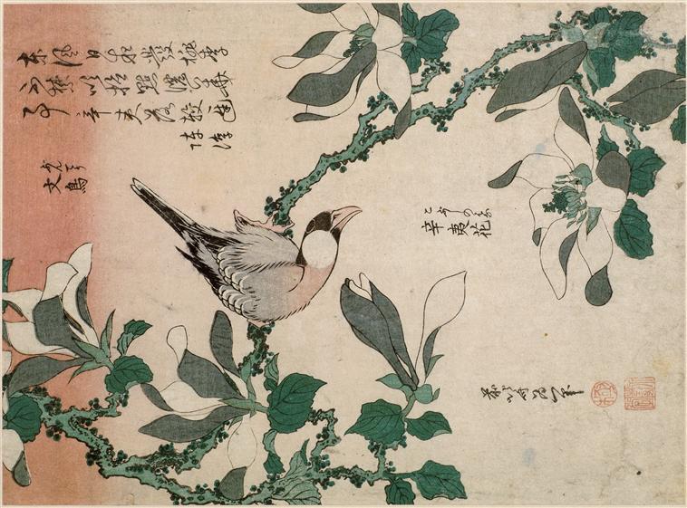 Sparrow And Magnolia — Katsushika Hokusai