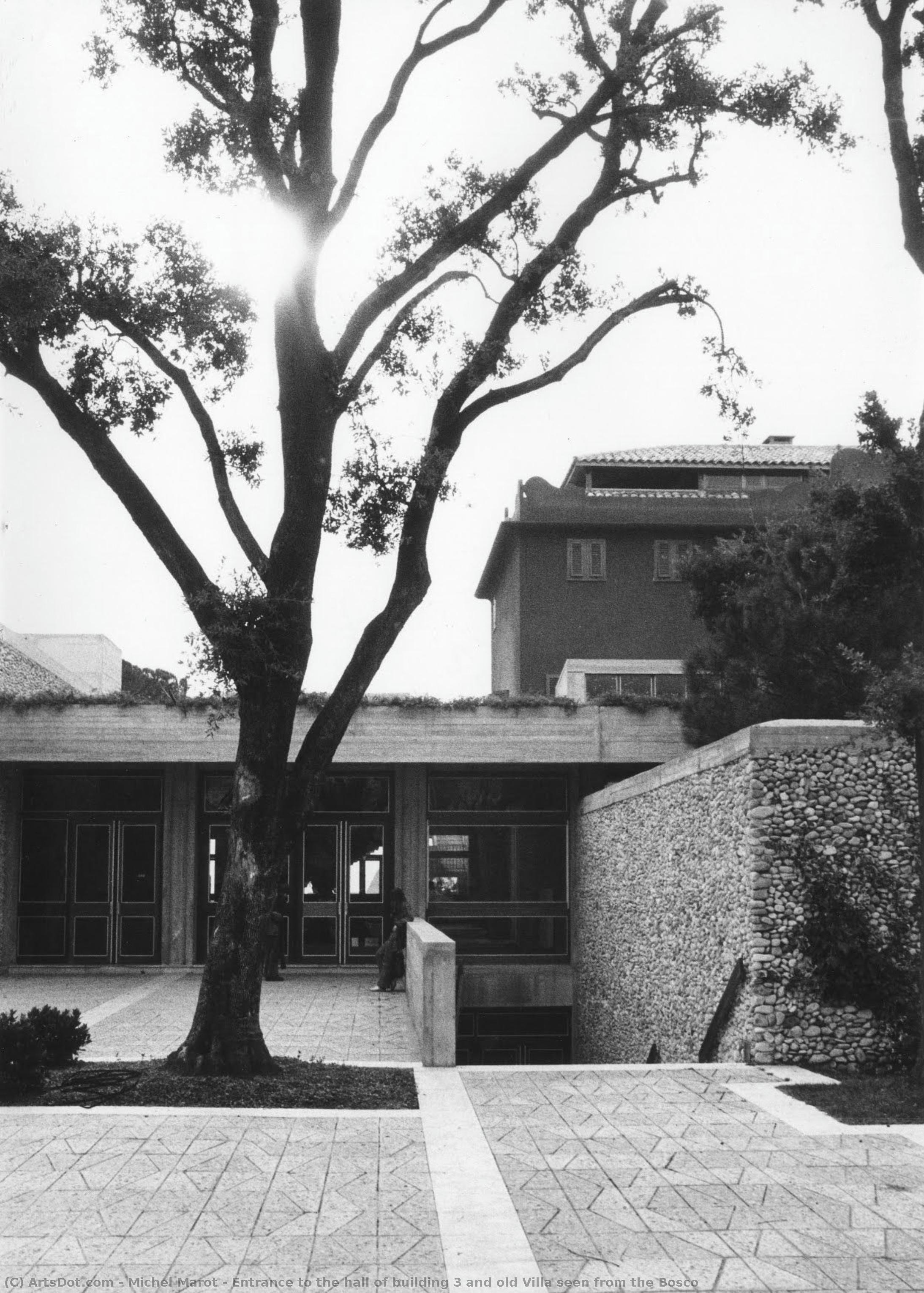 Entrance To The Hall Of Building 3 And Old Villa Seen From The Bosco — Michel Marot