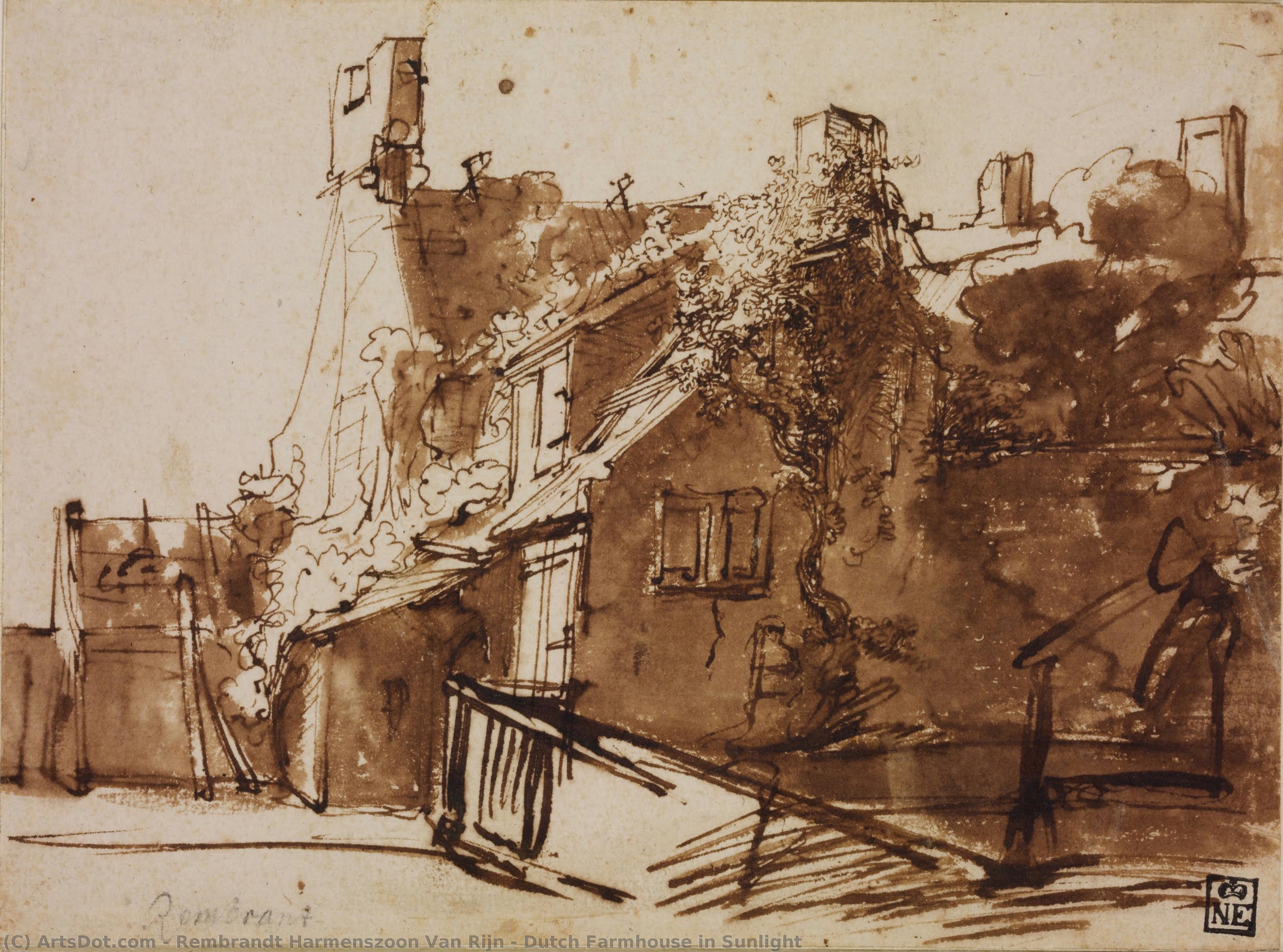 Dutch Farmhouse In Sunlight — Rembrandt Van Rijn