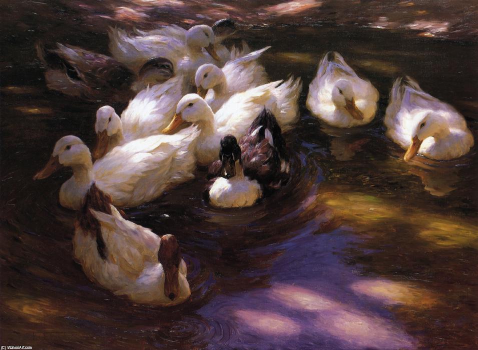 Eleven Ducks In The Morning Sun — Alexander Max Koeste