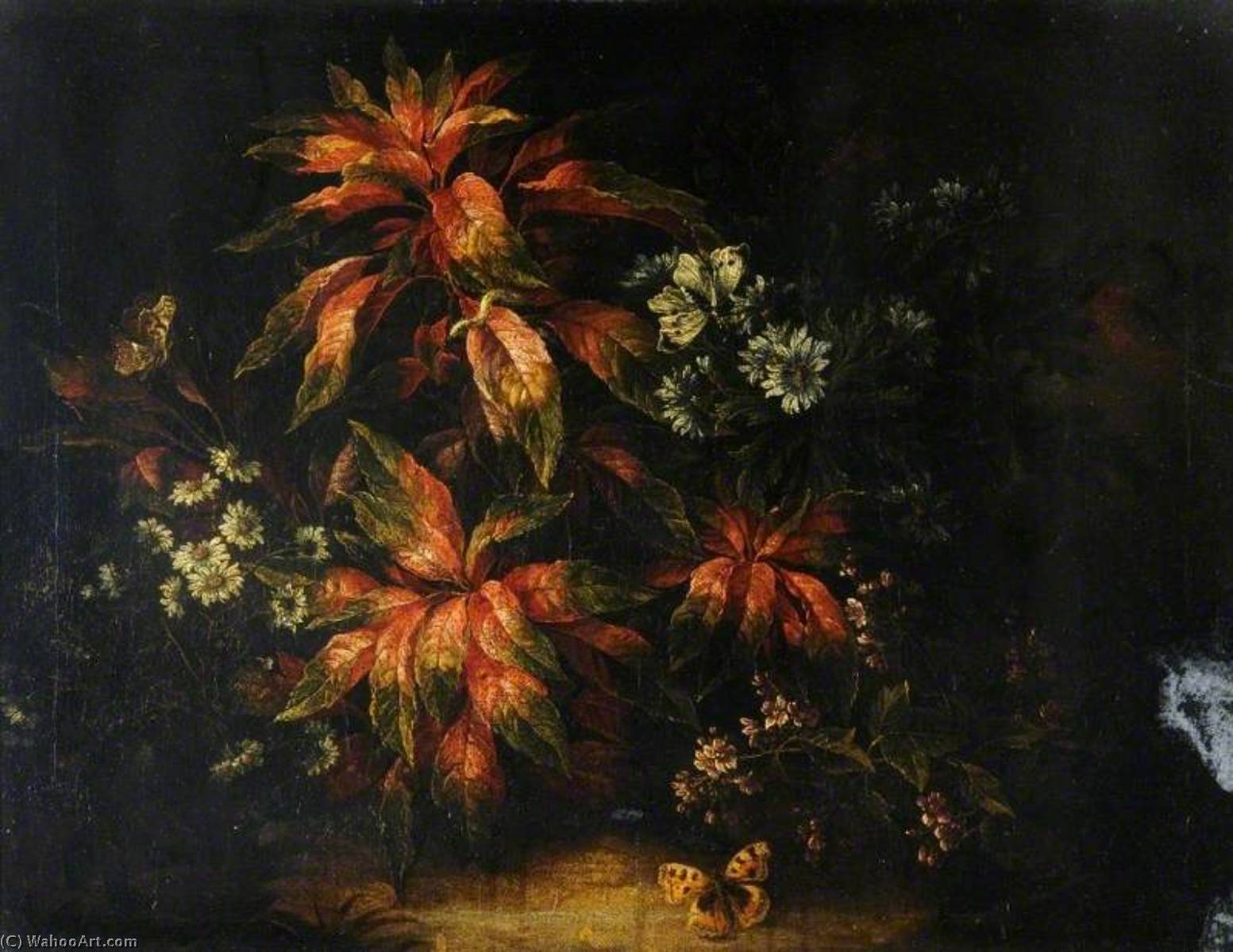 Leaves And Flowers With A Butterfly — Jean Baptiste Monnoyer
