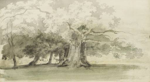 Trees In A Park — Thomas Girtin