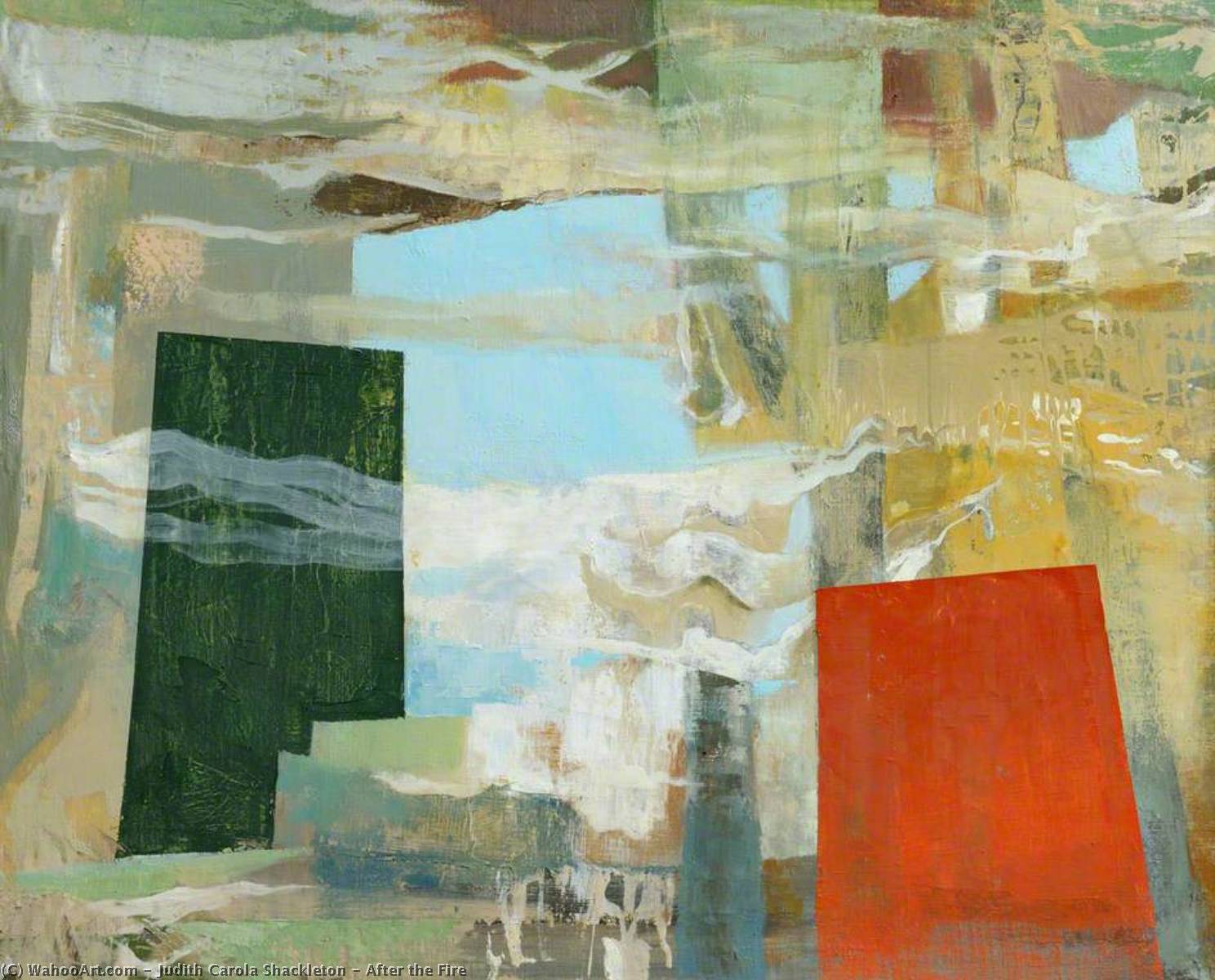 After The Fire — Judith Carola Shackleton