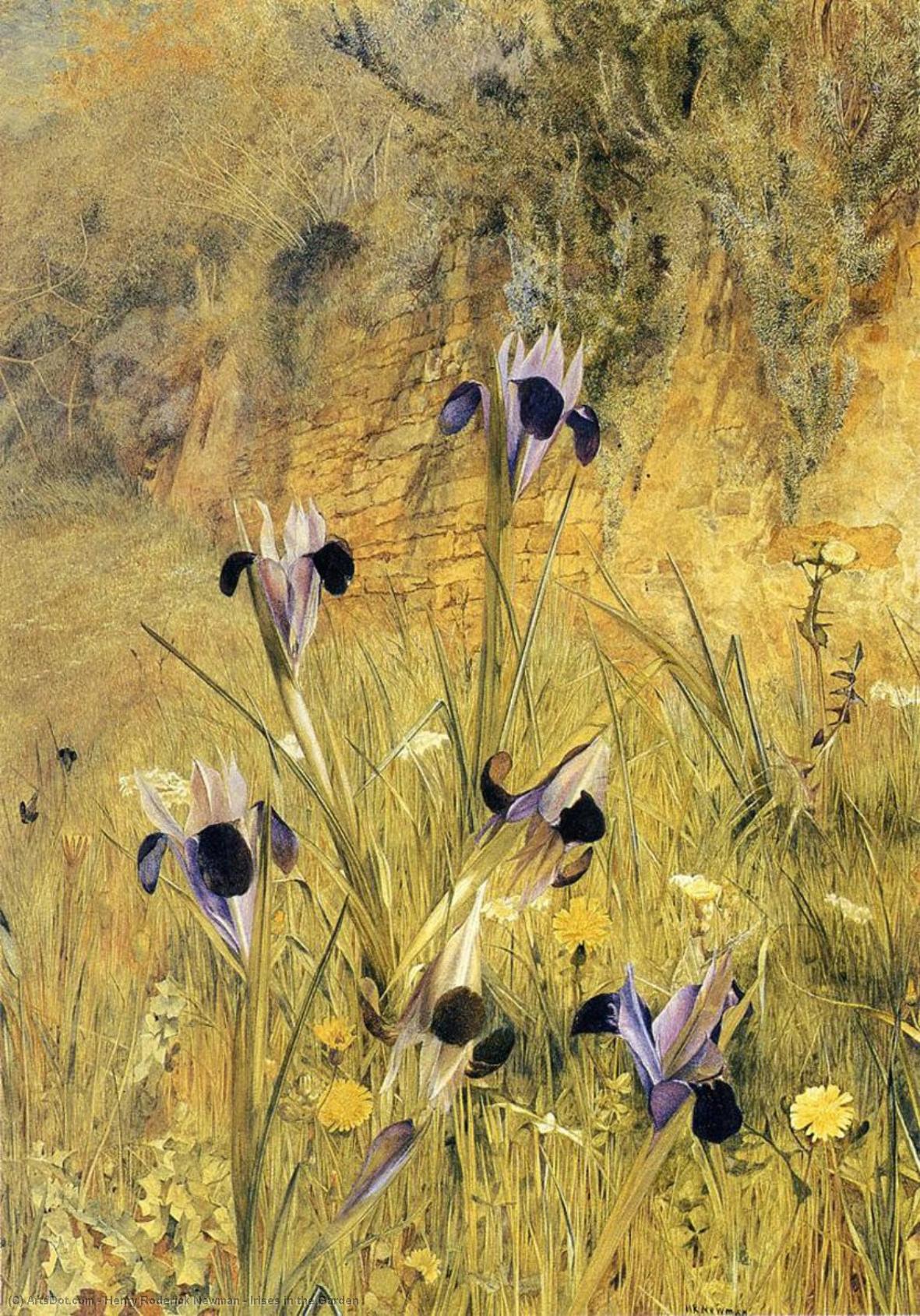 Irises In The Garden — Henry Roderick Newman