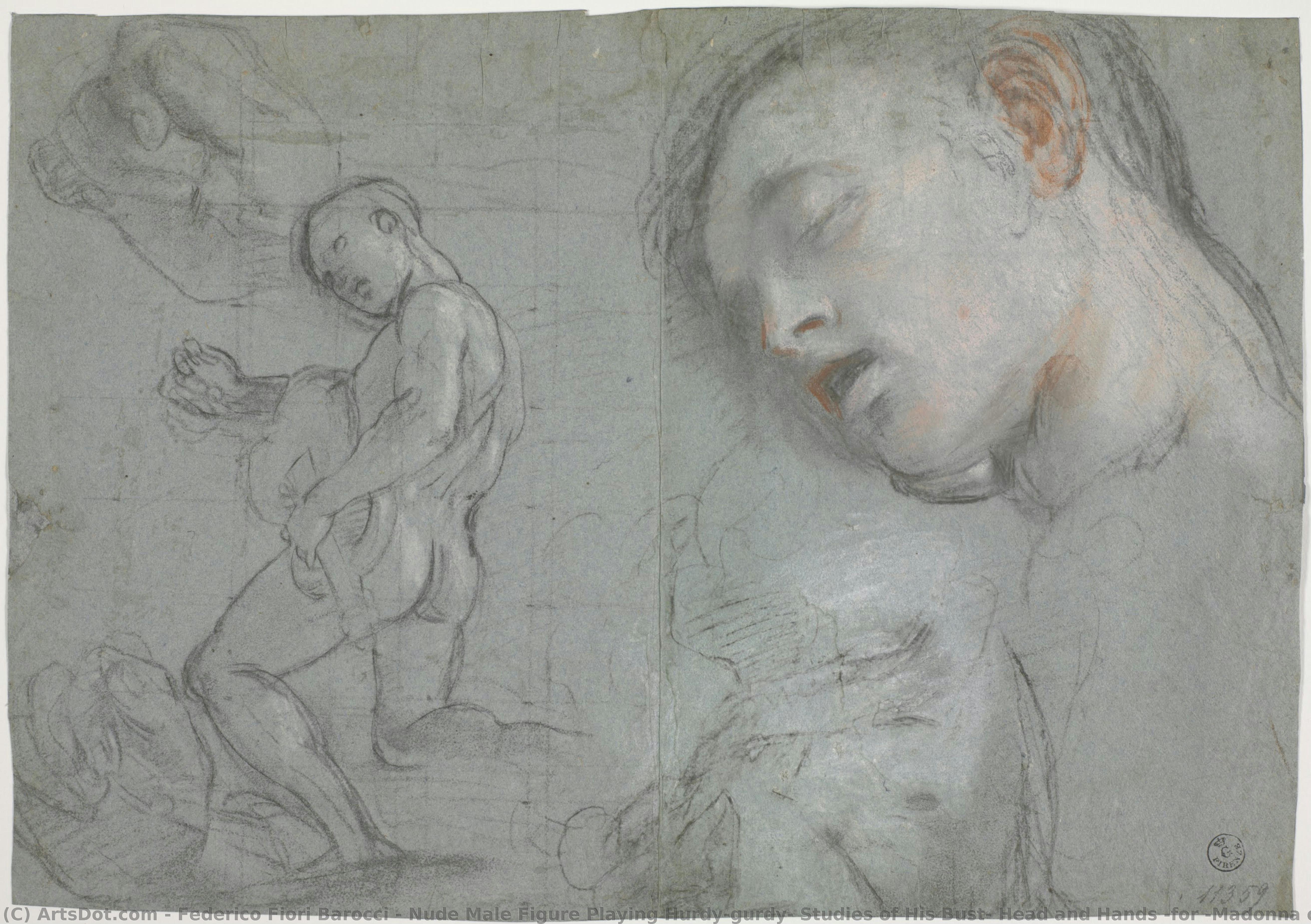 Nackte Männliche Figur Beim Spielen Einer Drehleier, Studien Seines Brustkorbs, Kopfes Und Der Hände (für „madonna Del Popolo“, Florenz, Galleria Degli Uffizi) — Federico Fiori Barocci
