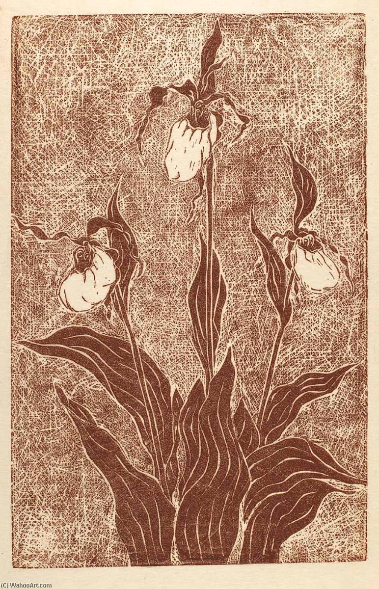 Ladyslippers — Frank Mcclure