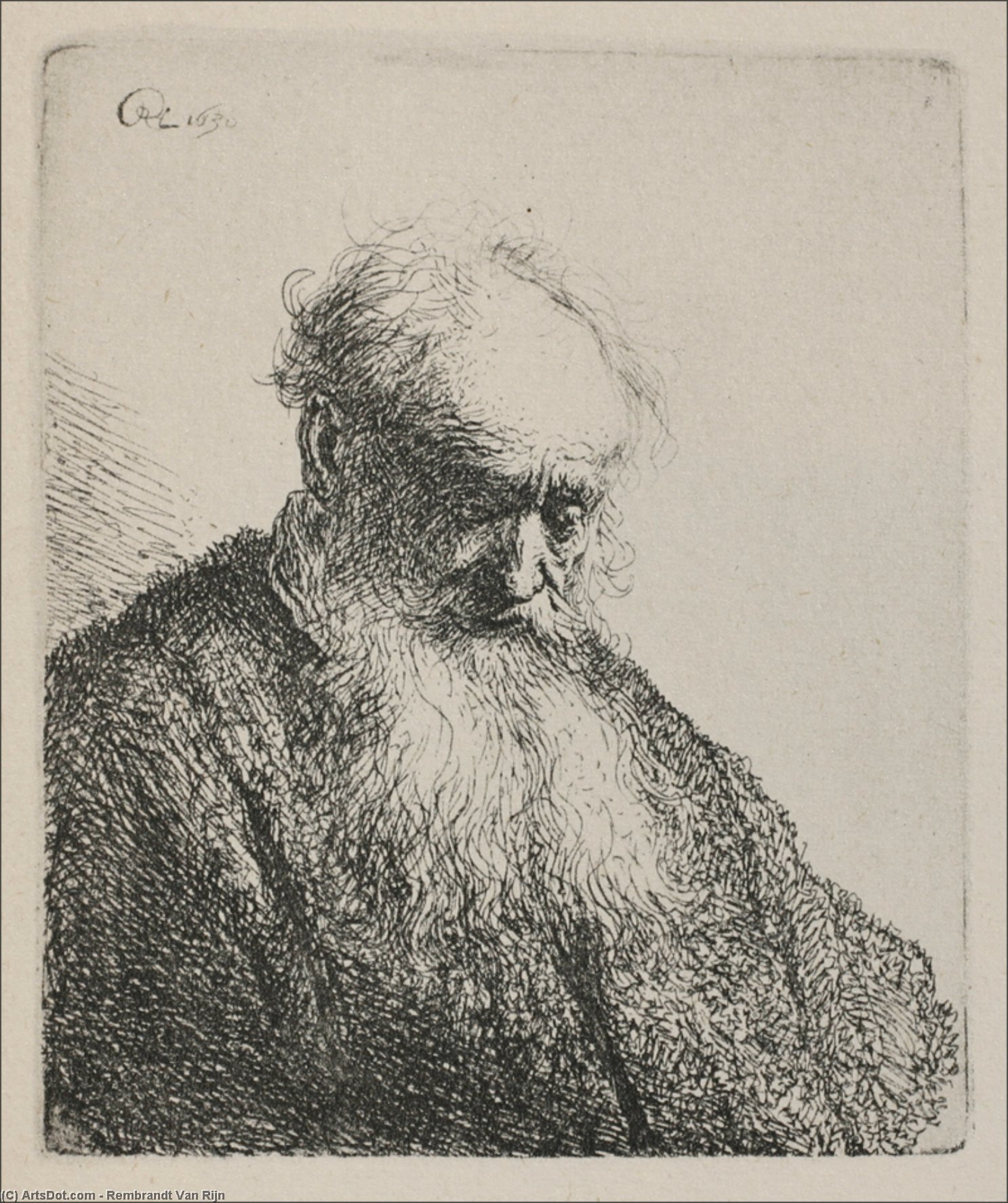An Old Man With A Beard — Rembrandt Van Rijn