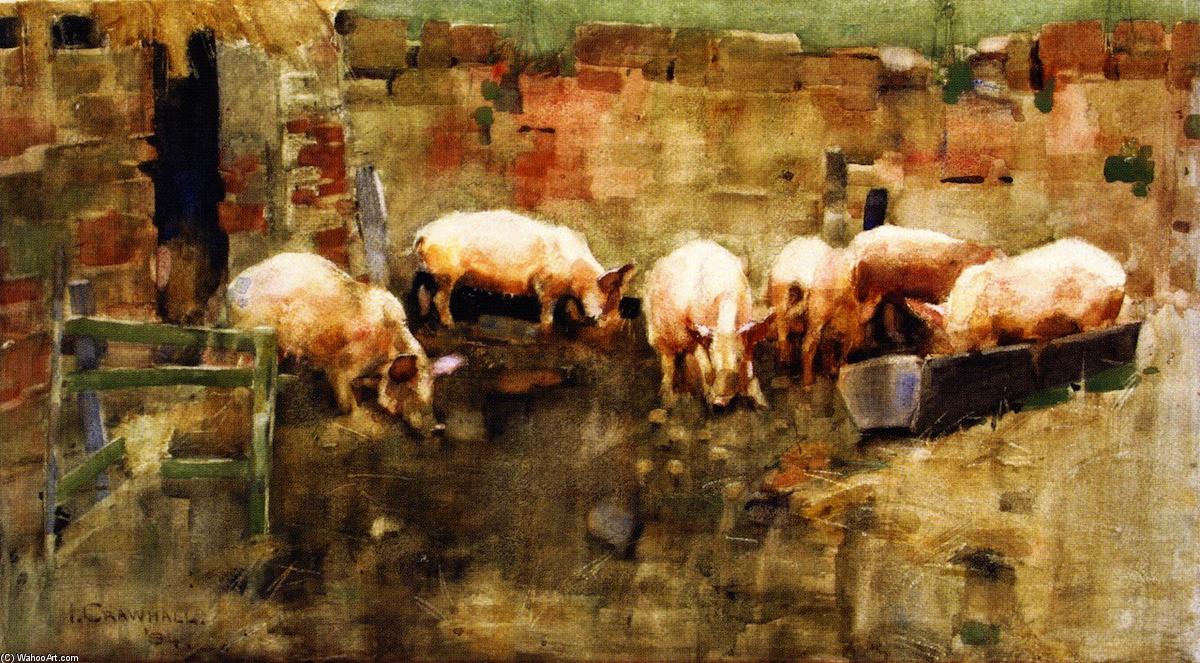 Pigs — Džozef Krol