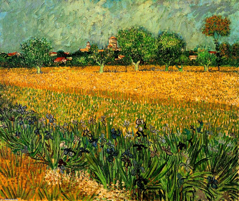 Ansicht Von Arles Mit Iris Im Vordergrund — Vincent Willem Van Gogh