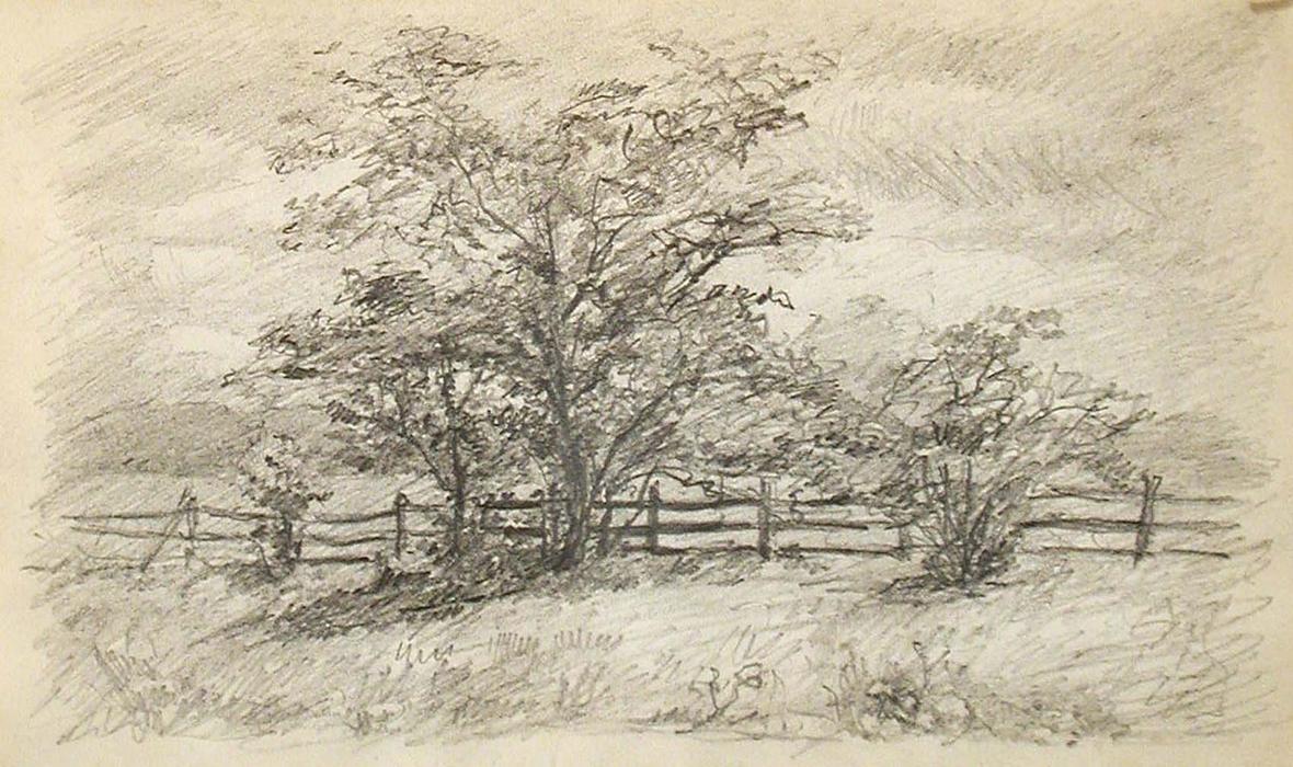 Tree And Fence — John Ottis Adams