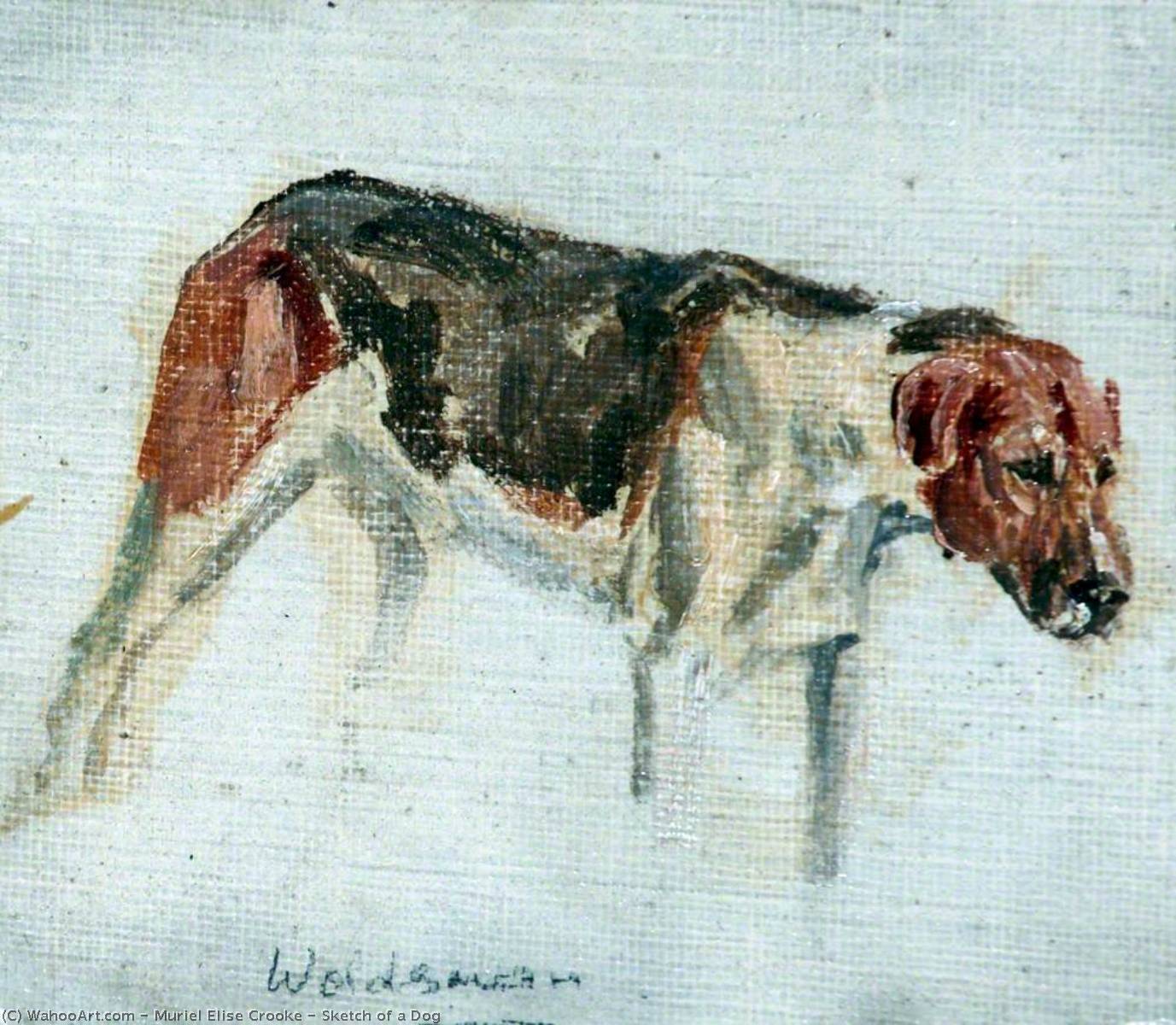 Sketch Of A Dog — Muriel Elise Crooke